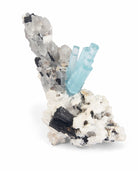 Aquamarine Spray 6.5 inch 2.23 lbs Natural Gem Crystal with Quartz and Black Tourmaline - MSCON-128 - Crystalarium