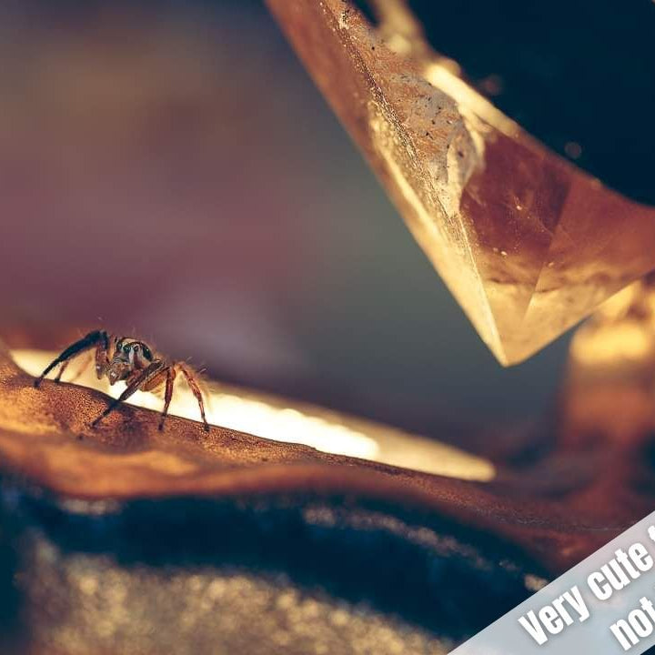 Citrine 15.9 Inch 13.1lb Polished Crystal Point on Custom Light Stand - Brazil - KKH-006 - Crystalarium
