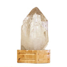Citrine 8.8 Inch 7.55lb Polished Crystal on Wooden Stand - Brazil - KKX-275 - Crystalarium