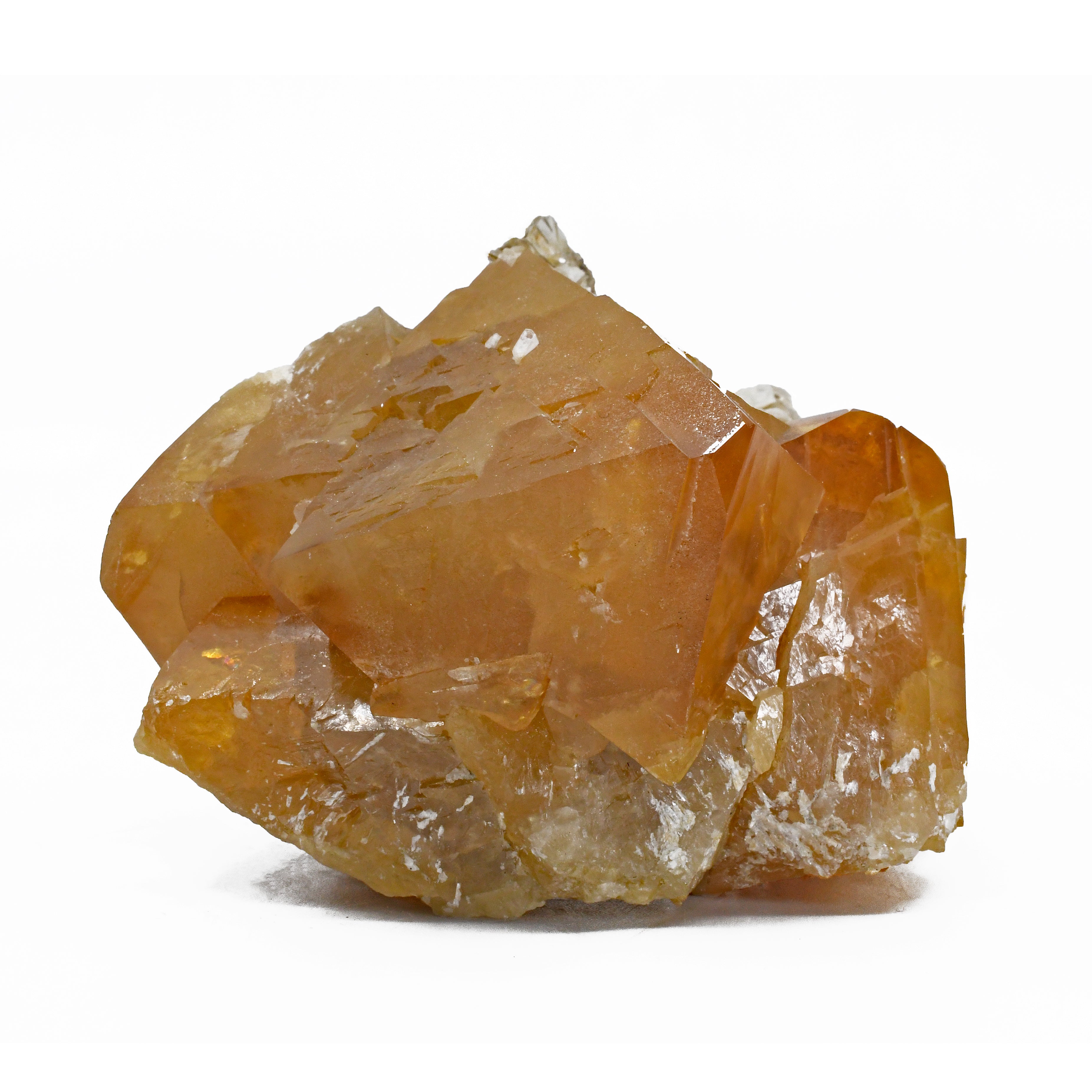 Scheelite on Muscovite Natural Crystal Specimen - China - ZX-111 - Crystalarium