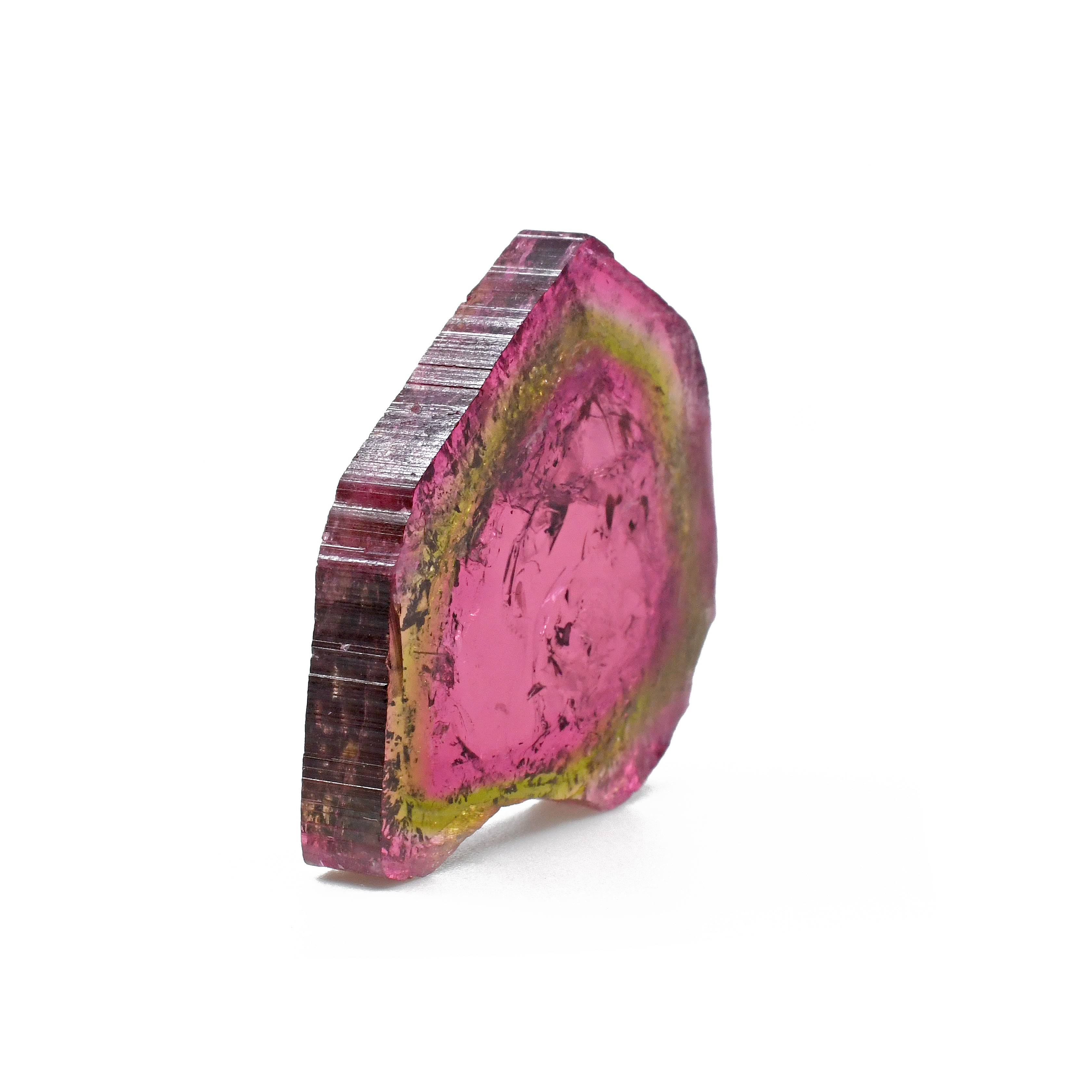 Watermelon Tourmaline 1.38inch 50.76 ct Natural Crystal Polished Slice - Brazil - GGX-077 - Crystalarium