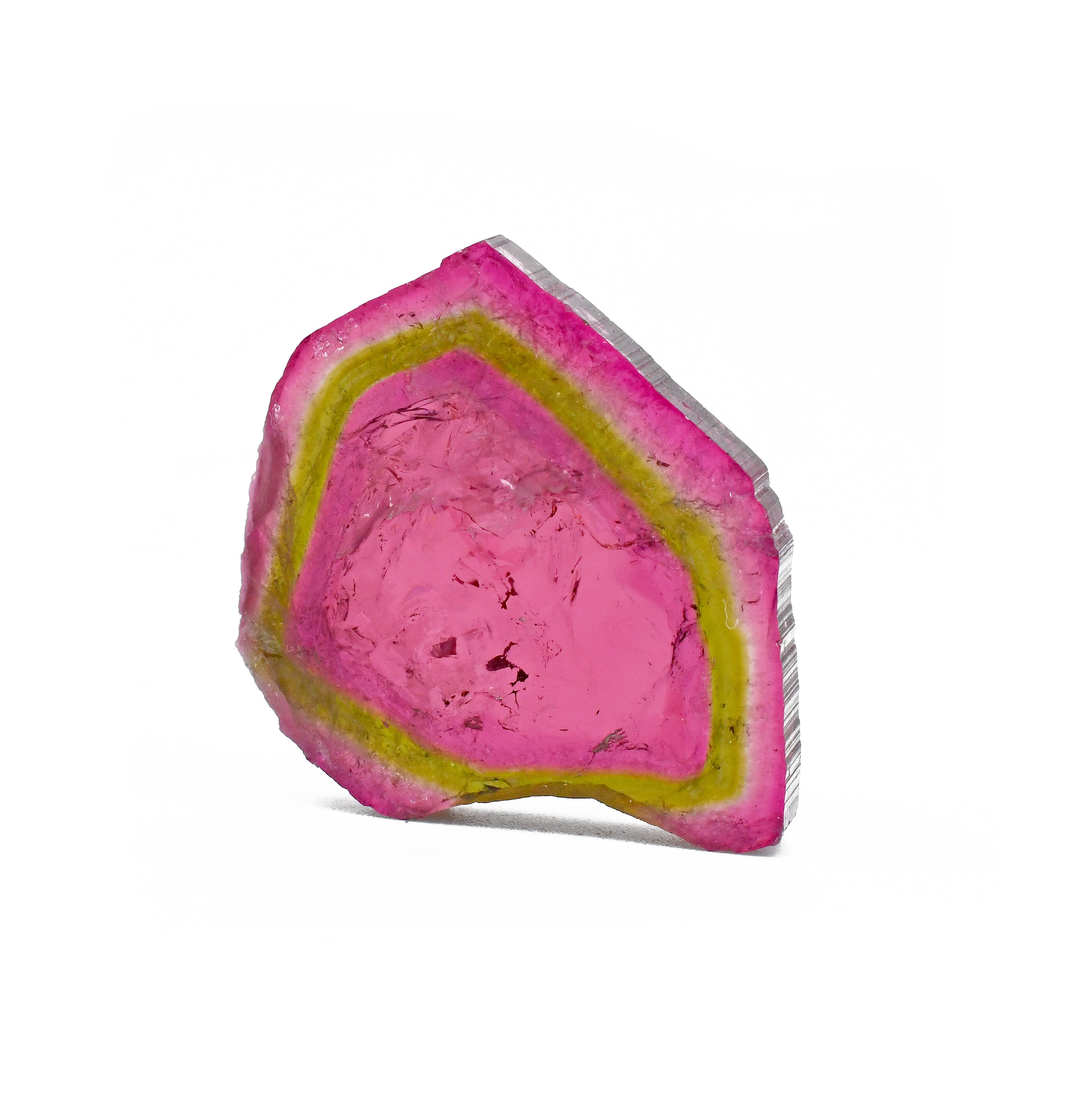 Watermelon Tourmaline 1.38inch 50.76 ct Natural Crystal Polished Slice - Brazil - GGX-077 - Crystalarium