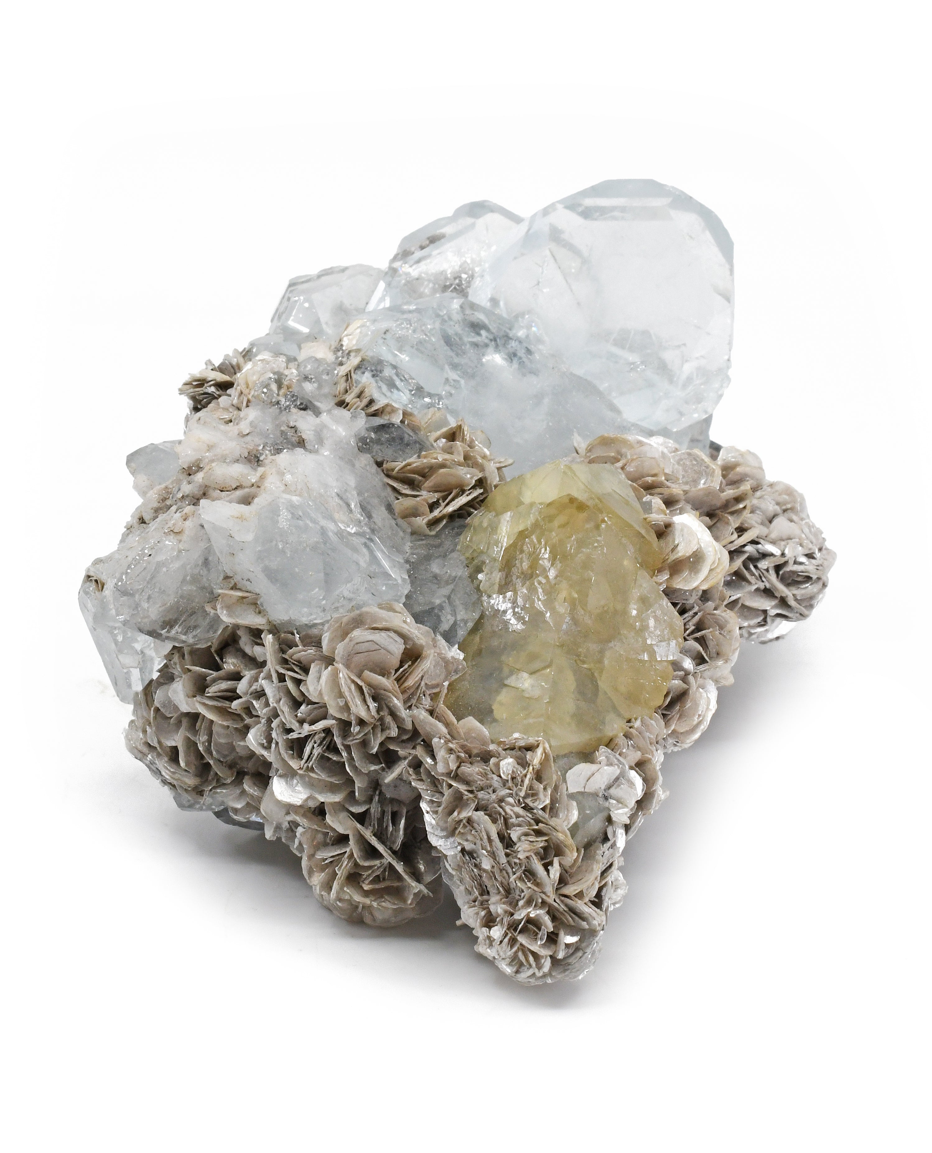 Aquamarine Natural Gem Crystals on Muscovite with Scheelite 4.8 inch 562.6 gram Natural Specimen- China - MSCON-057 - Crystalarium