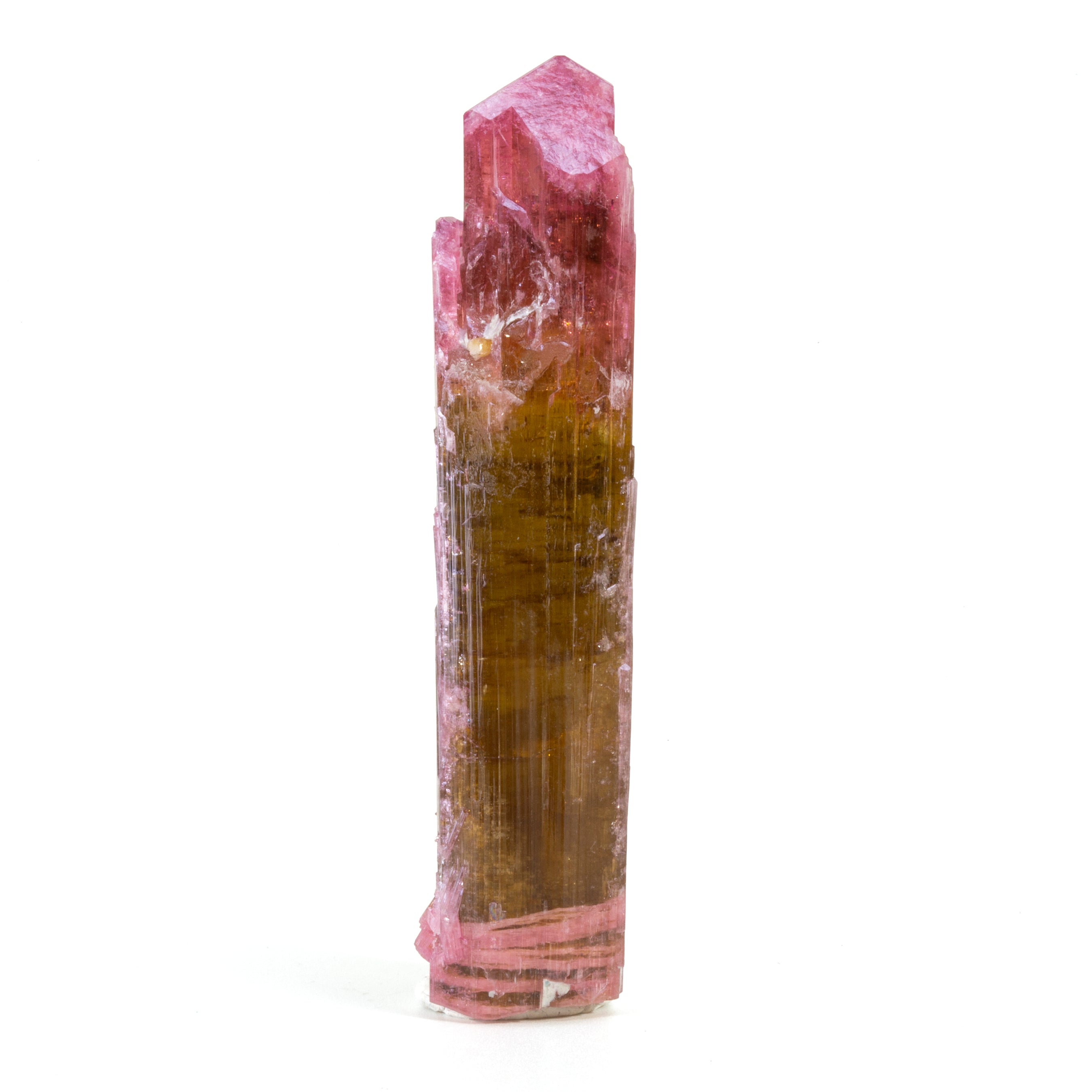 Bi-Color Pink and Green Tourmaline 31.8 gram Natural Crystal - Afghanistan - HHX-278 - Crystalarium