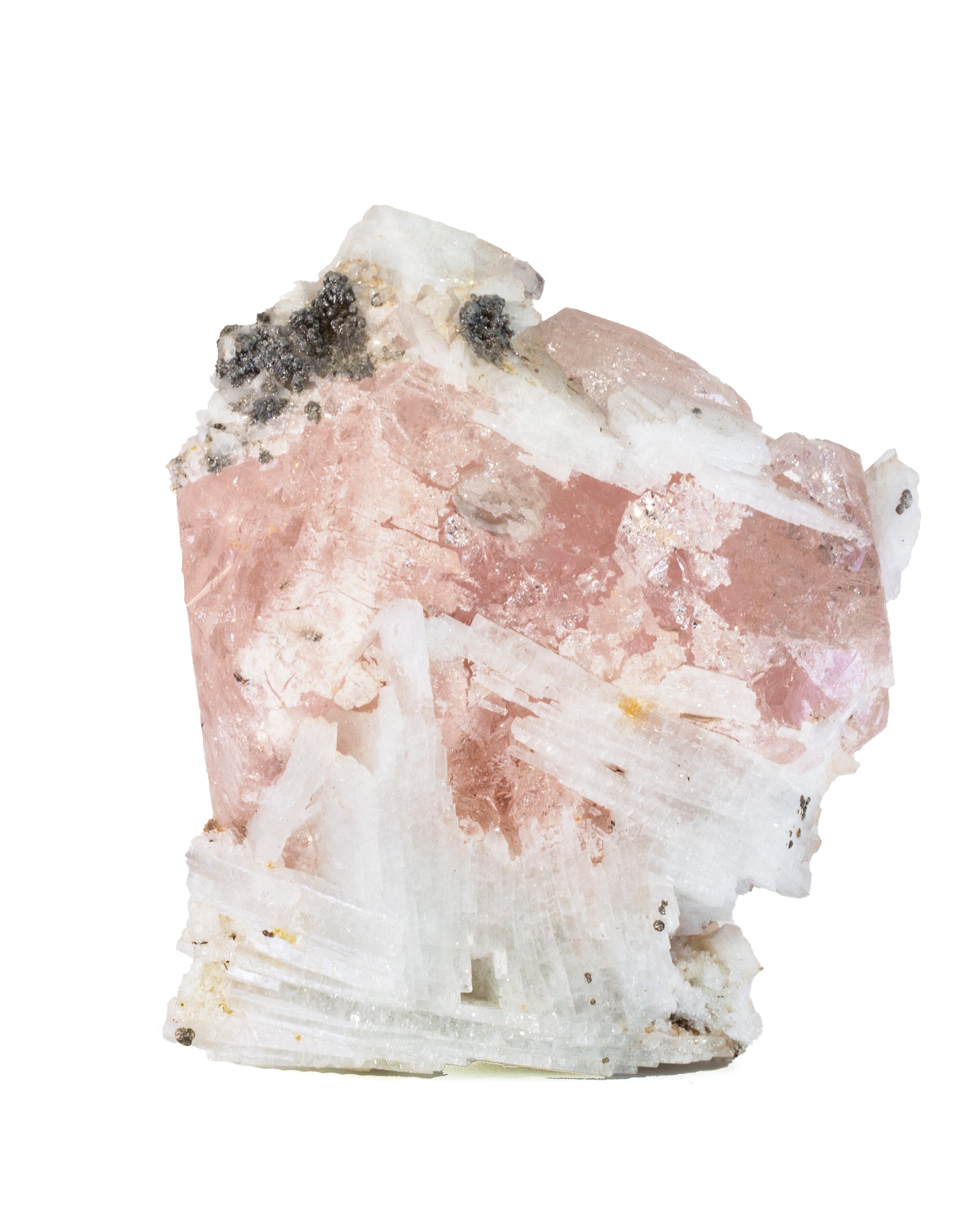 Morganite 3.76 inch 339 gram Natural Gem Crystal Specimen - Brazil - BBX-275 - Crystalarium