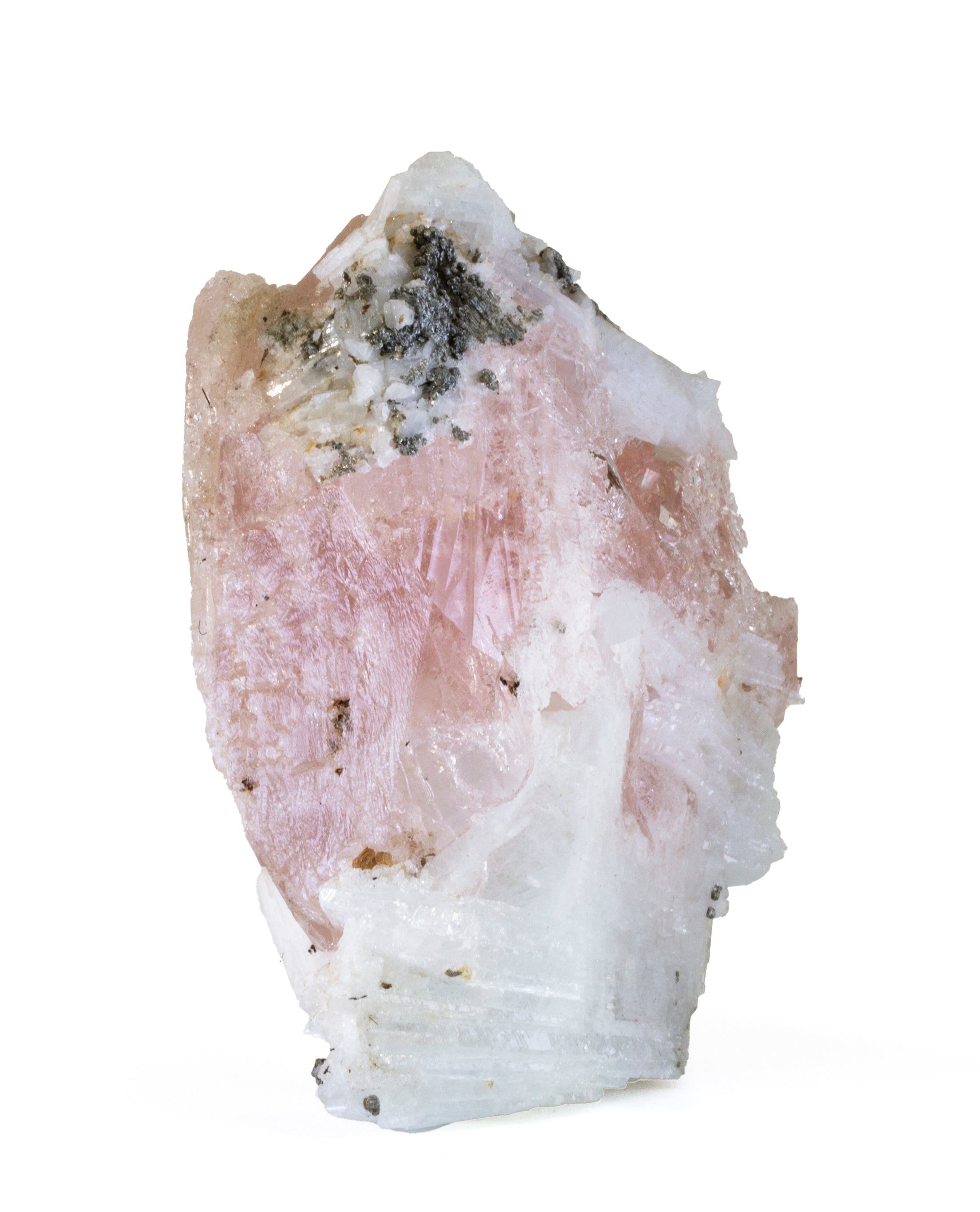 Morganite 3.76 inch 339 gram Natural Gem Crystal Specimen - Brazil - BBX-275 - Crystalarium