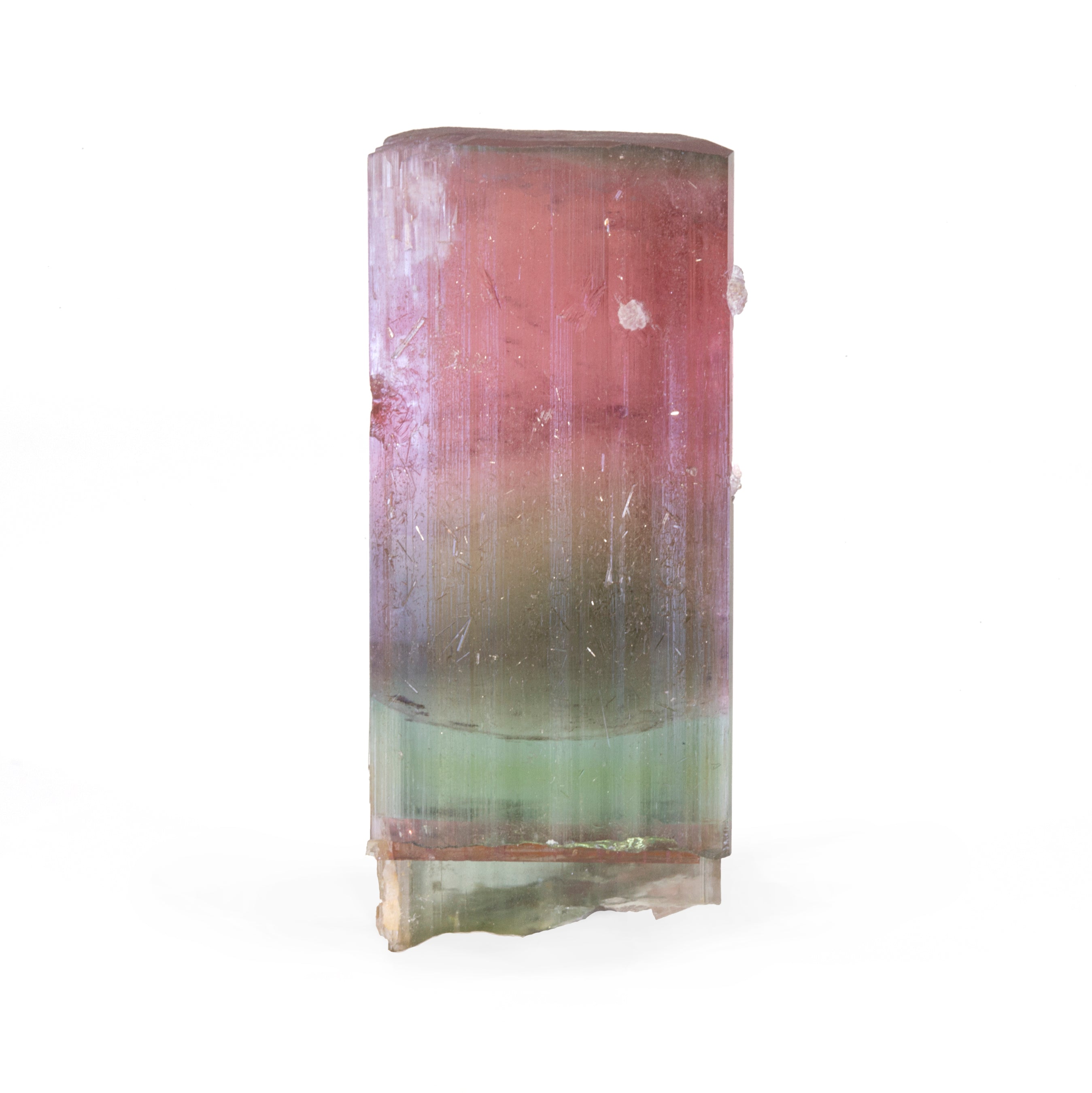Cat's Eye Bi-Color Tourmaline with Lepidolite 38.4 gram 22.8mm Natural Gem Crystal - Himalaya Mine, San Diego, California, USA - JJX-004 - Crystalarium