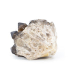 Smoky Citrine 5.23 Inch 3.5lb Natural Crystal Cluster - Congo - GGX-047 - Crystalarium