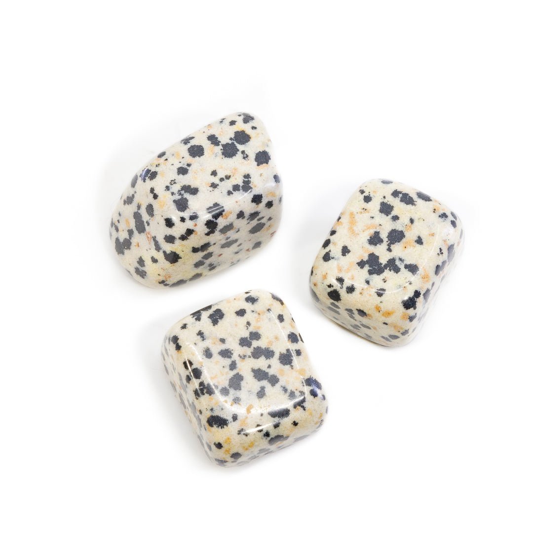 Dalmation Jasper Tumble - Africa - KKH-140 - Crystalarium