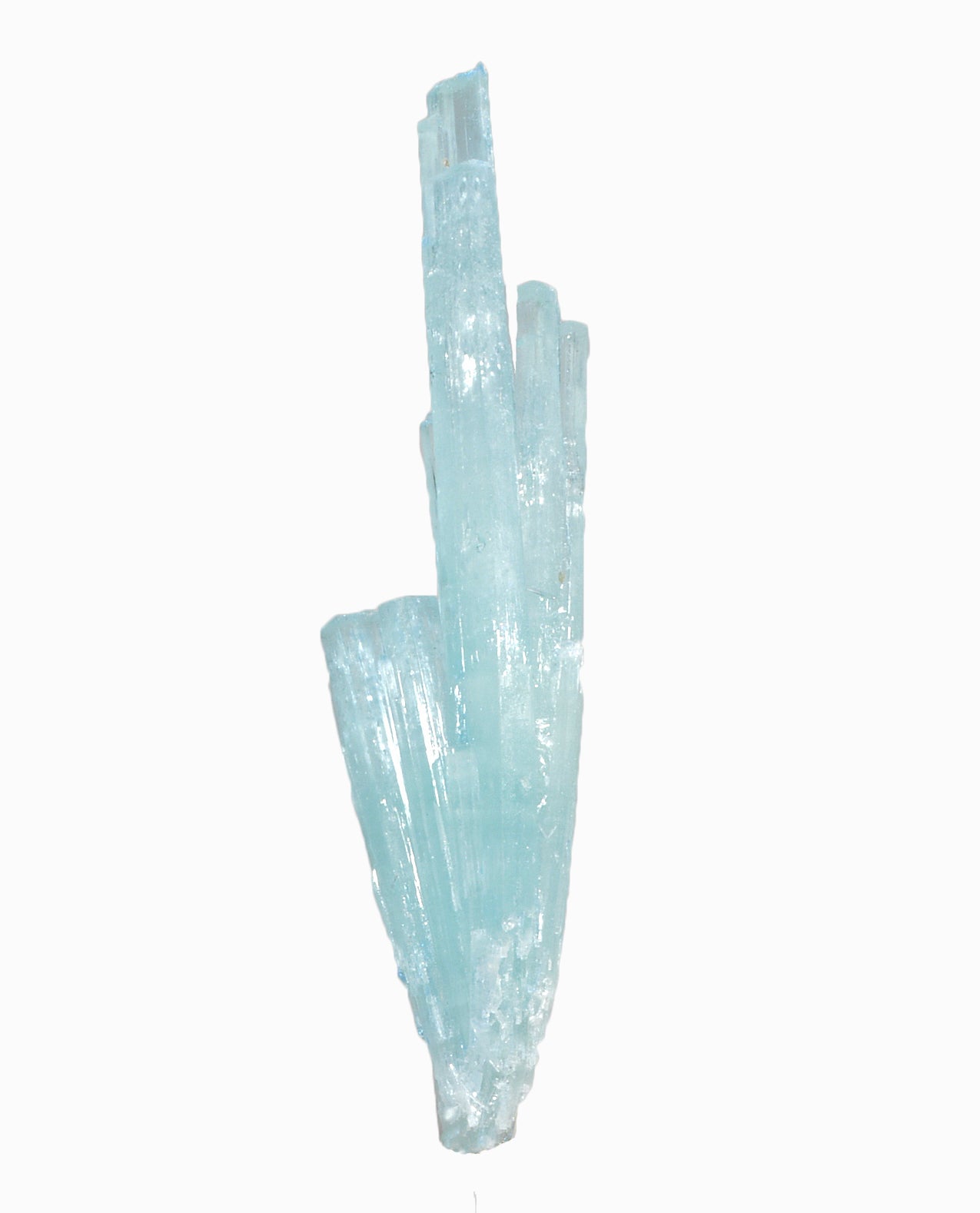 Aquamarine Spray 116.5 gram 7.2 inch Natural Gem Crystal - Pakistan - EEX-093 - Crystalarium