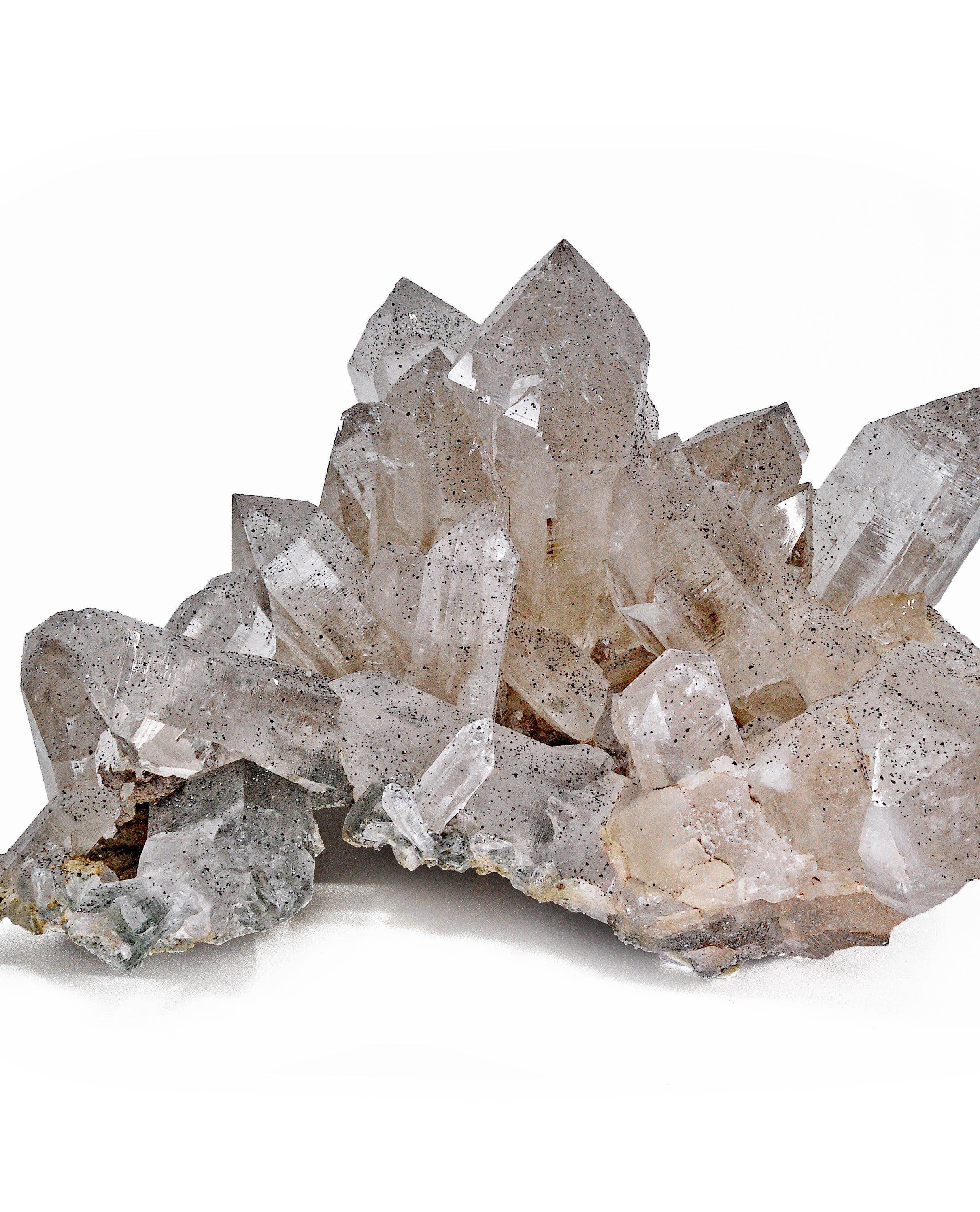 Quartz 14 lbs 11 inch with Chlorite and Anatase Natural Crystal Cluster - Himalayan - EEX-112 - Crystalarium