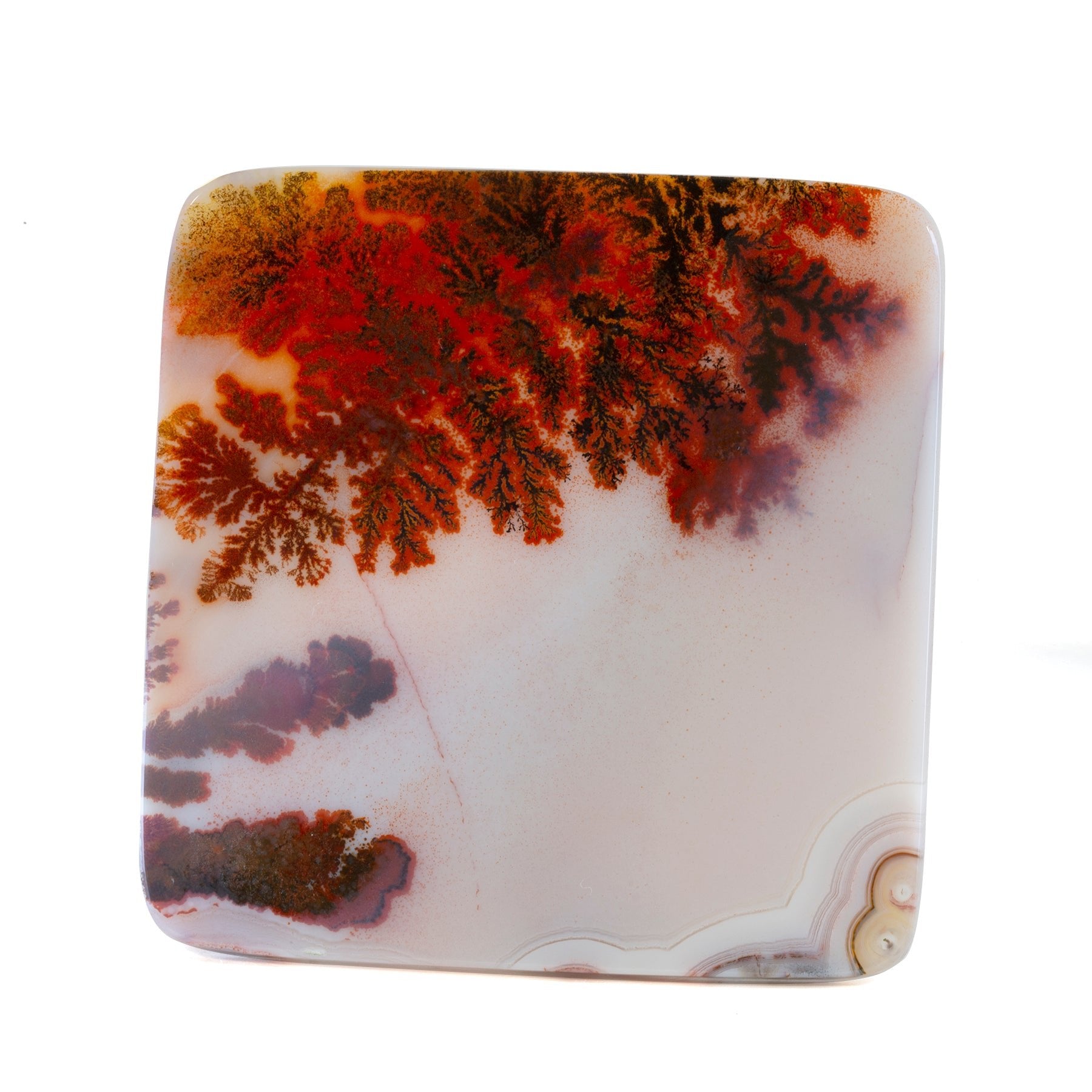 Dendritic Agate 3.1 inch 64.5 gram Polished Specimen - India - GGV-005 - Crystalarium