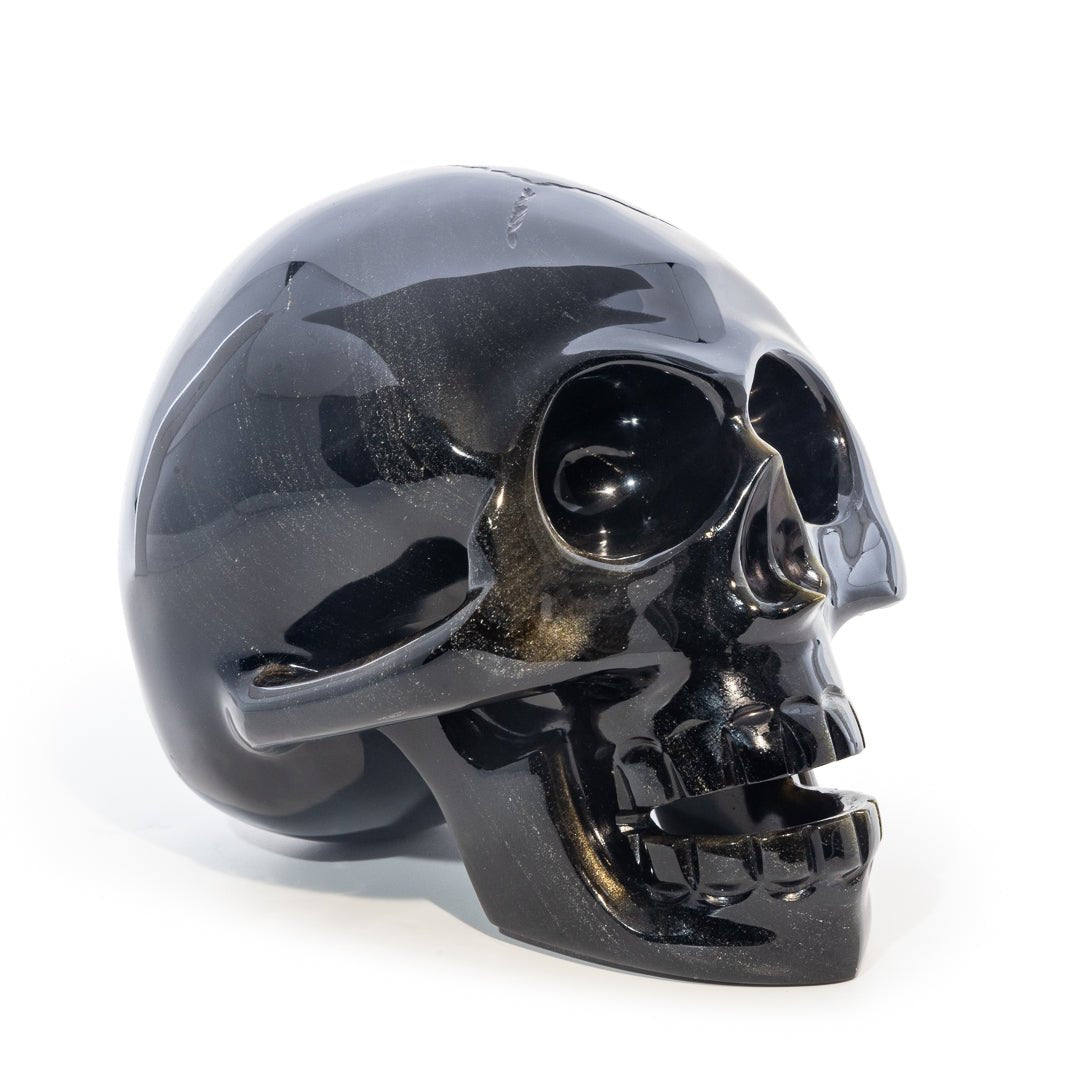 Gold Sheen Obsidian 5.2 Inch 3.3lb Hand Carved Crystal Skull - Mexico - LLF-002 - Crystalarium