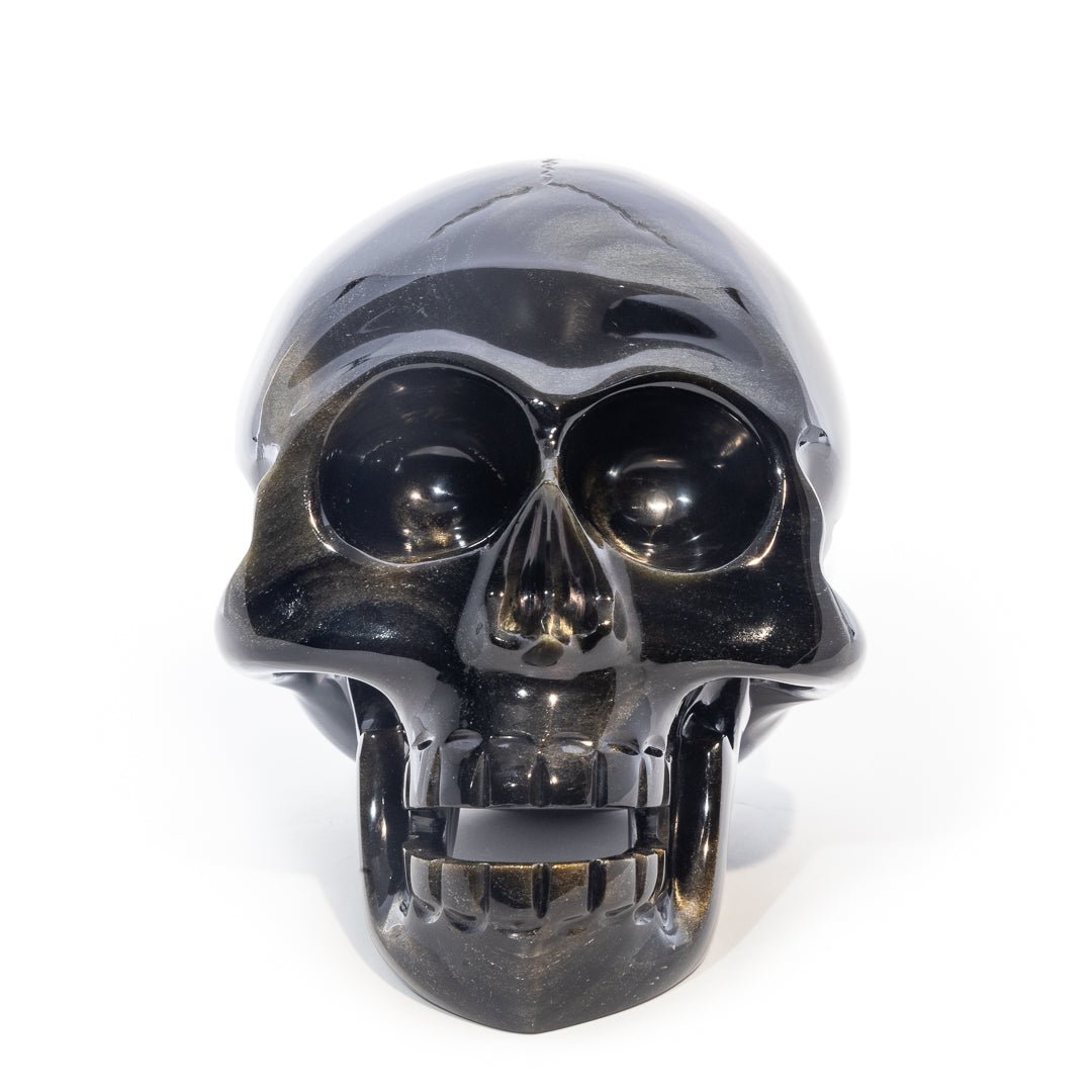 Gold Sheen Obsidian 5.2 Inch 3.3lb Hand Carved Crystal Skull - Mexico - LLF-002 - Crystalarium
