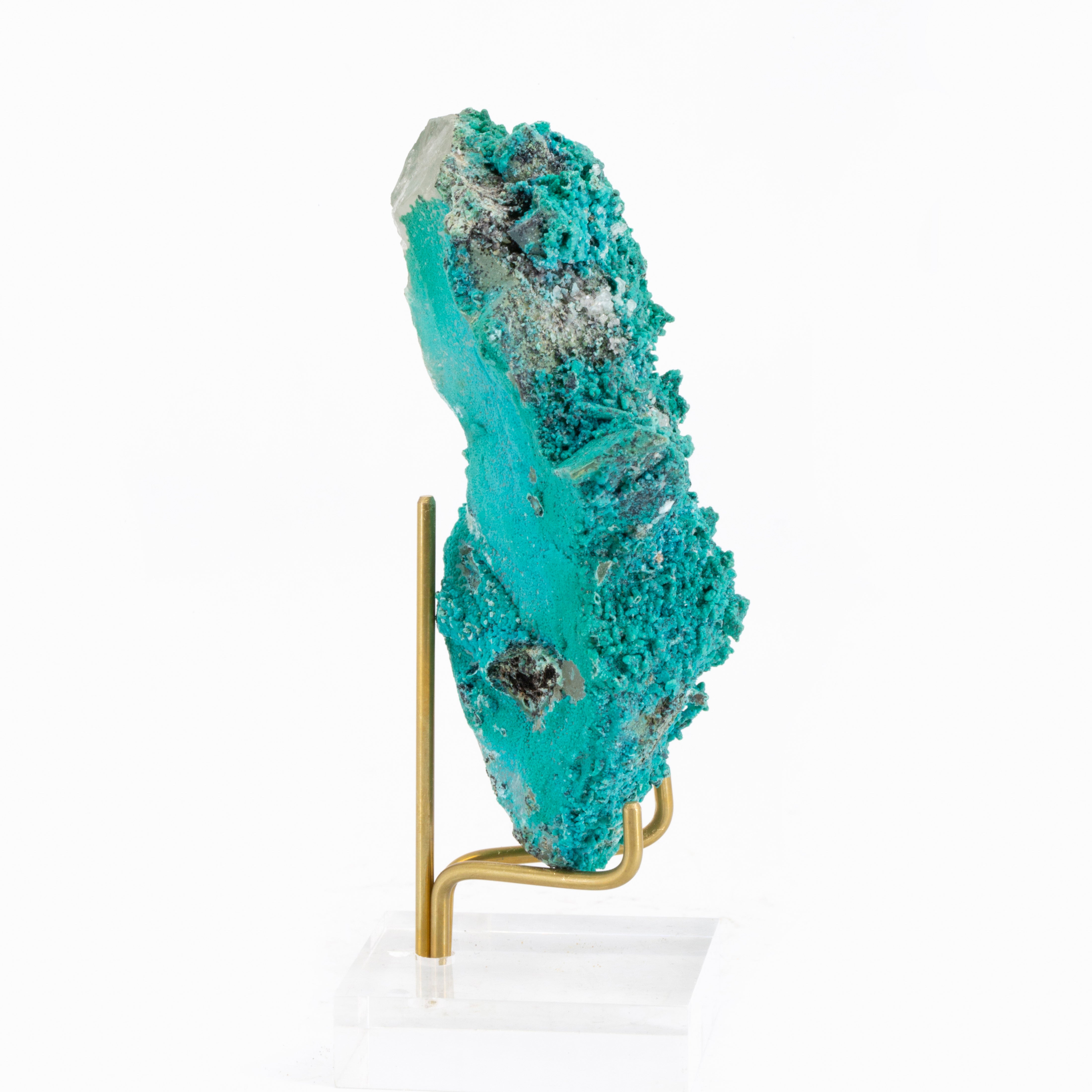 Quartz with Chrysocolla Overgrowth 4 inch 125gram Natural Crystal - Peru, La Tentadora - HHX-216 - Crystalarium