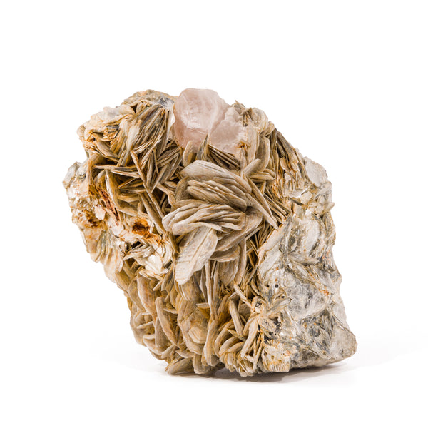 Muscovite