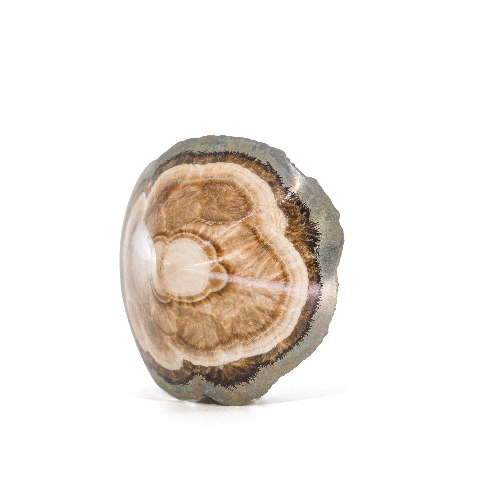Baryte (barite) crystal with marcasite from Lubin mine, Poland.