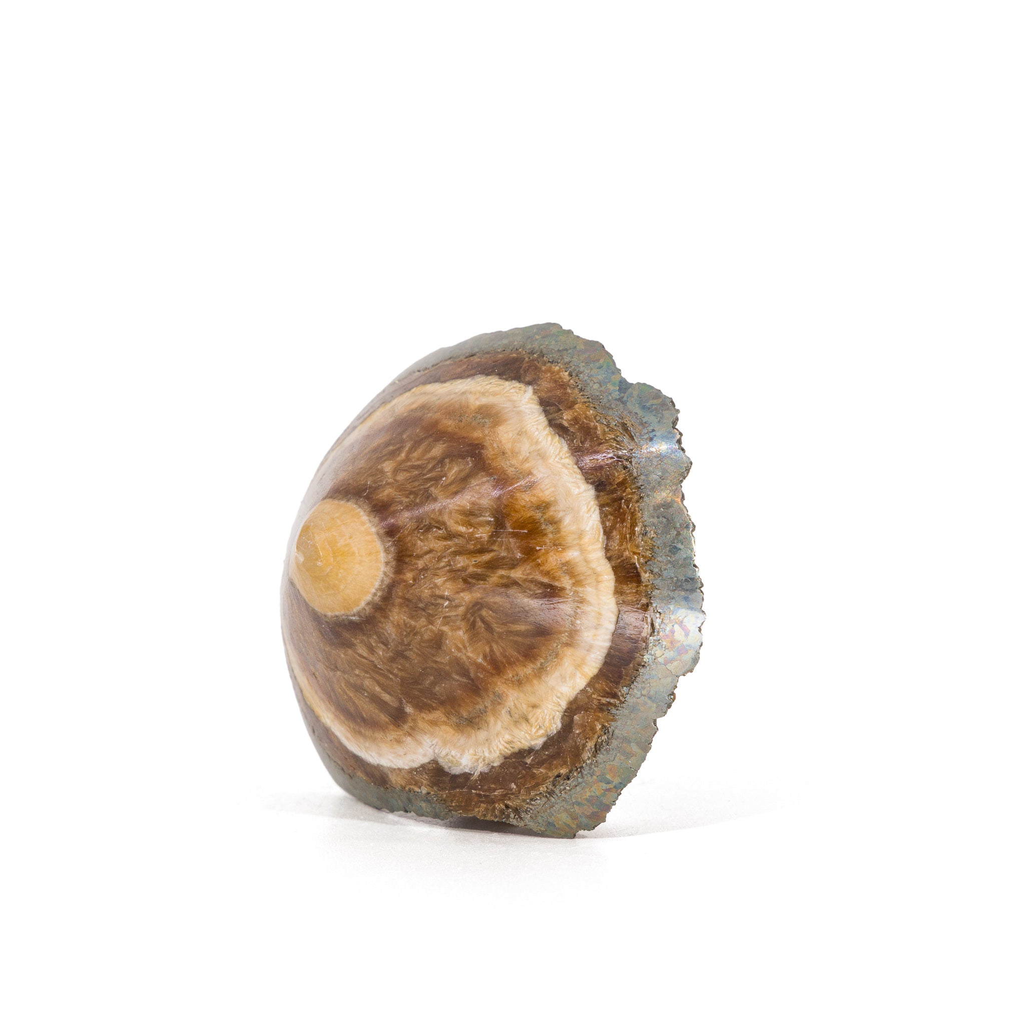 Baryte (barite) crystal with marcasite from Lubin mine, Poland.