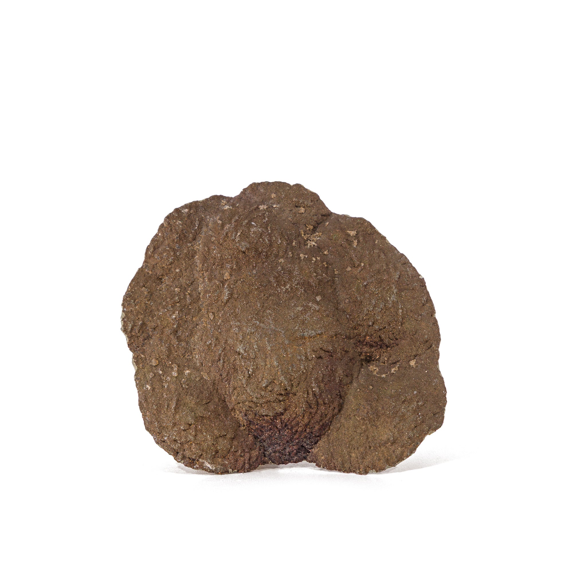 Baryte (barite) crystal with marcasite from Lubin mine, Poland.