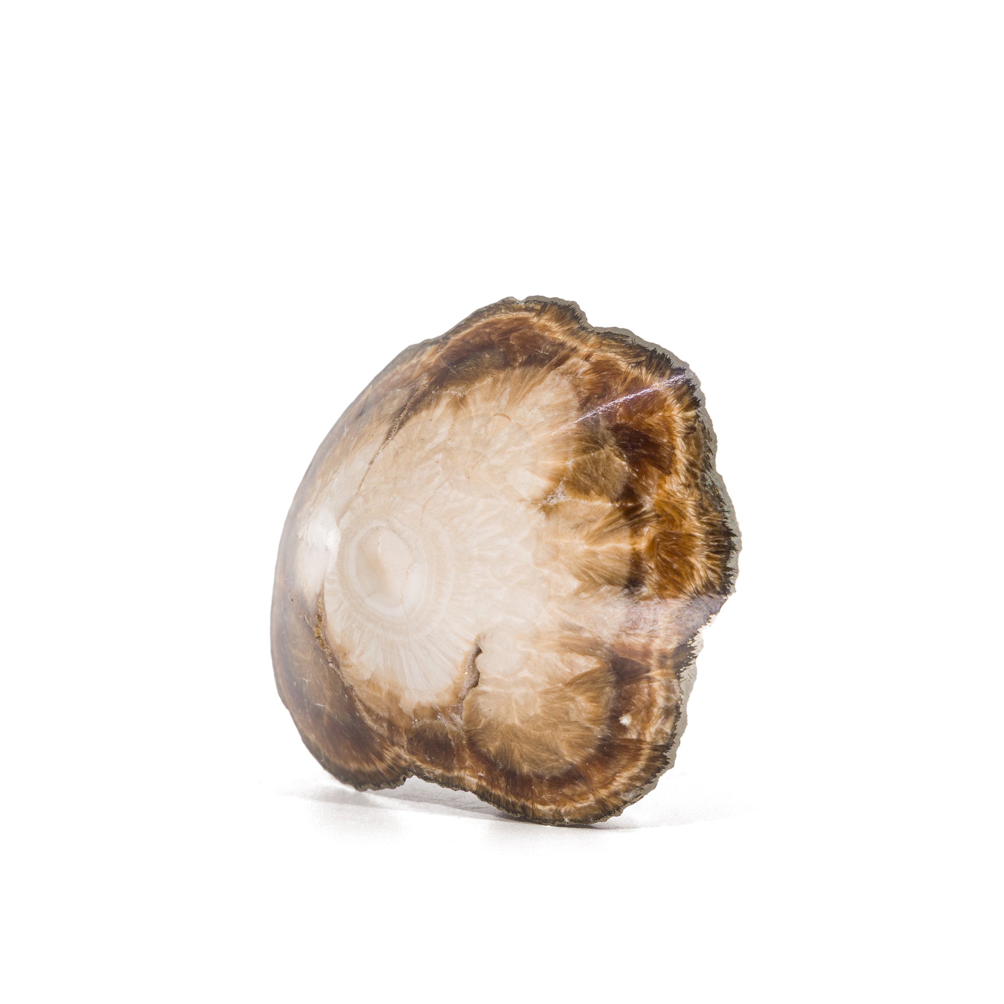 Baryte (barite) crystal with marcasite from Lubin mine, Poland.