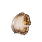 Baryte (barite) crystal with marcasite from Lubin mine, Poland.