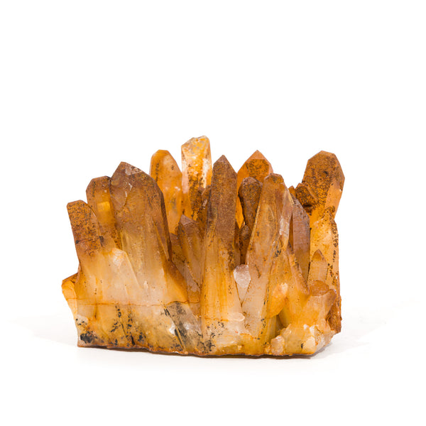 Hematoid "Golden Healer"