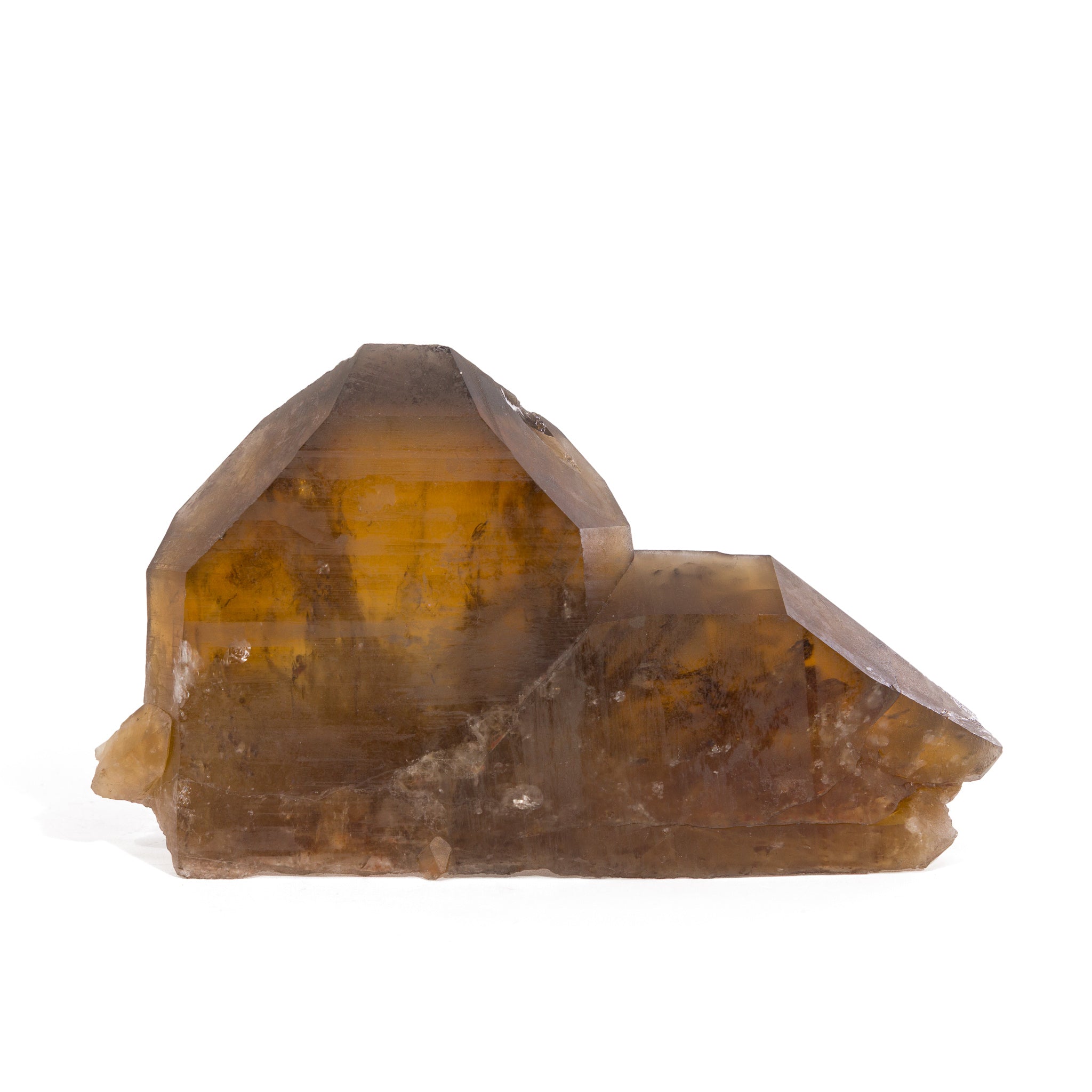 ミュージシャン Citrine ミュージシャン Citrine CITRINE - Live on Sonic Seedpod - Rock