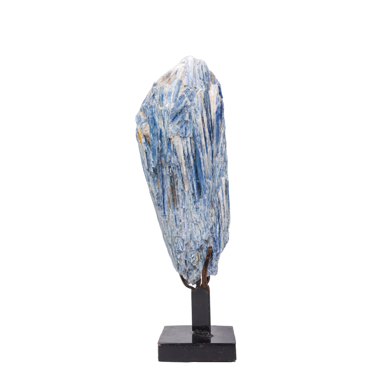 Blue bladed Kyanite crystal cluster displayed on a black metal stand, front view