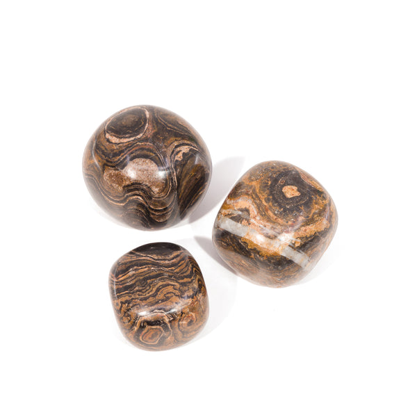 Stromatolite