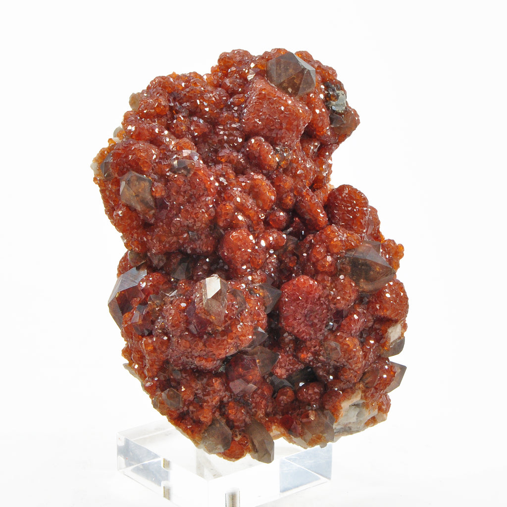 Spessartine Garnet over Smoky Quartz 4.27 inch 1.21lbs Natural Crystal Cluster - China - UX-479 - Crystalarium