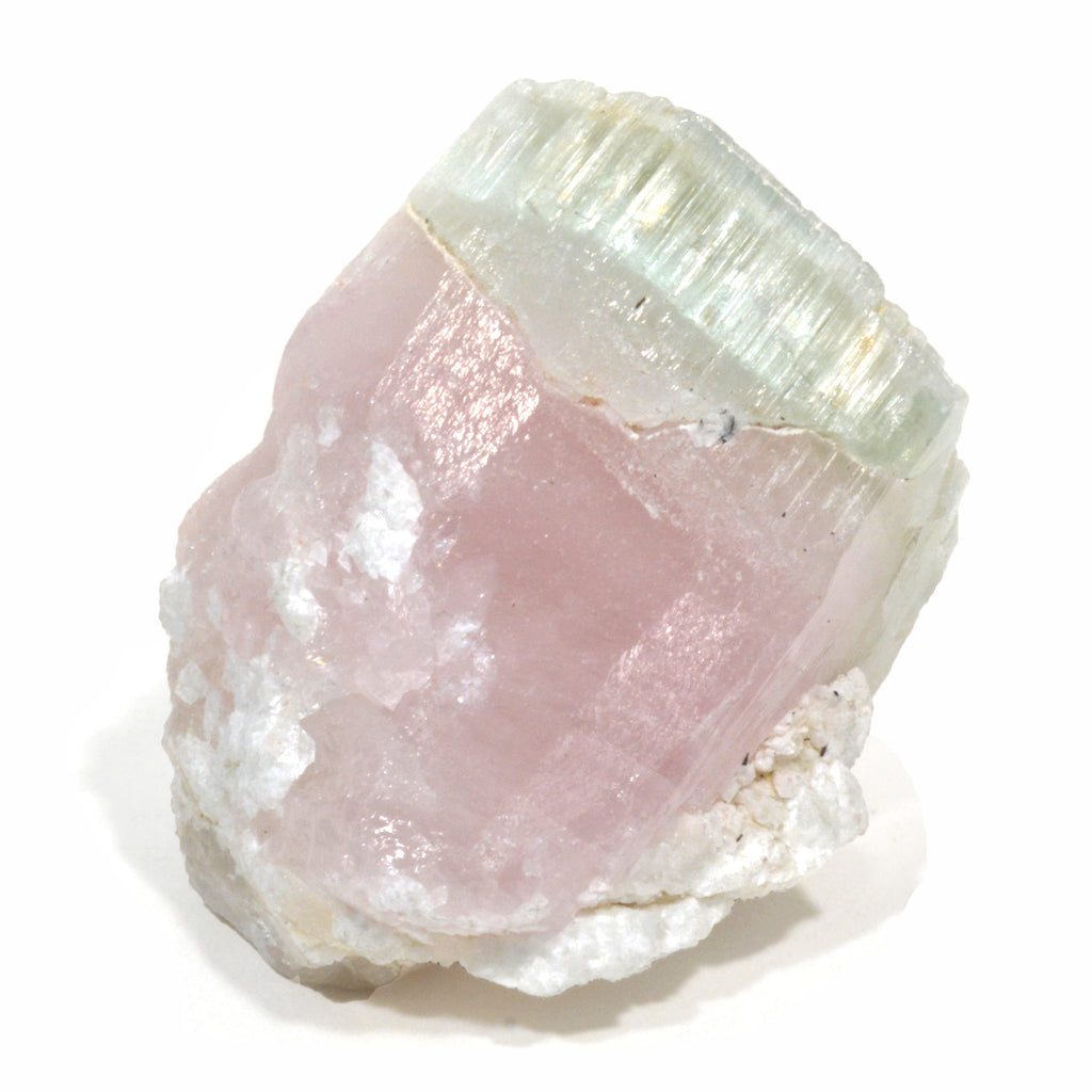 Bi-color Beryl Morganite and Aquamarine 80.5 gram 1.78 inch Natural Gem Crystal - Pakistan - CCX-523 - Crystalarium