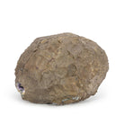 Amethyst with Calcite 12.5 Inch 26.25lb Natural Stalactite Geode - Uruguay - KKX-363 - Crystalarium