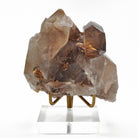 Rutilated Smoky Quartz 4.1 inch 1.1 lbs Natural Crystal Cluster - Brazil - FFX-068 - Crystalarium