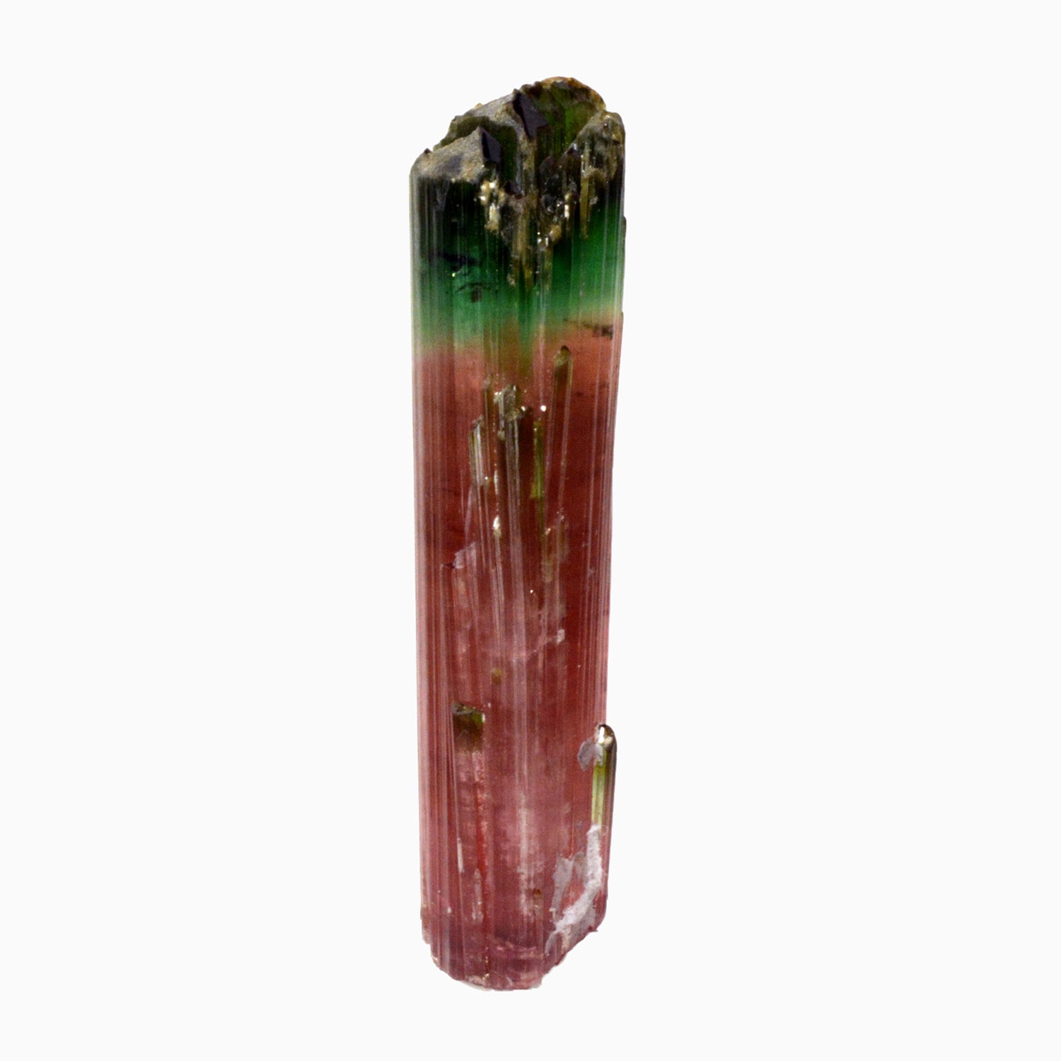 Bi-color Pink and Green Tourmaline 2.91 inch 44 gram Natural Gem Crystal - Pakistan - EEX-226 - Crystalarium