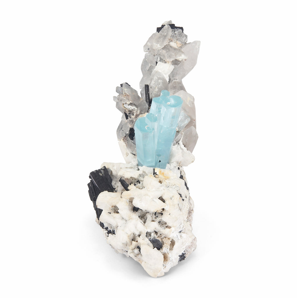 Aquamarine Spray 6.5 inch 2.23 lbs Natural Gem Crystal with Quartz and Black Tourmaline - MSCON-128 - Crystalarium
