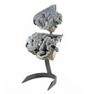 Green "Amethyst" 16.5 inch 9 lbs Partial Polished Stalactite with Stand - Uruguay - DDX-081 - Crystalarium