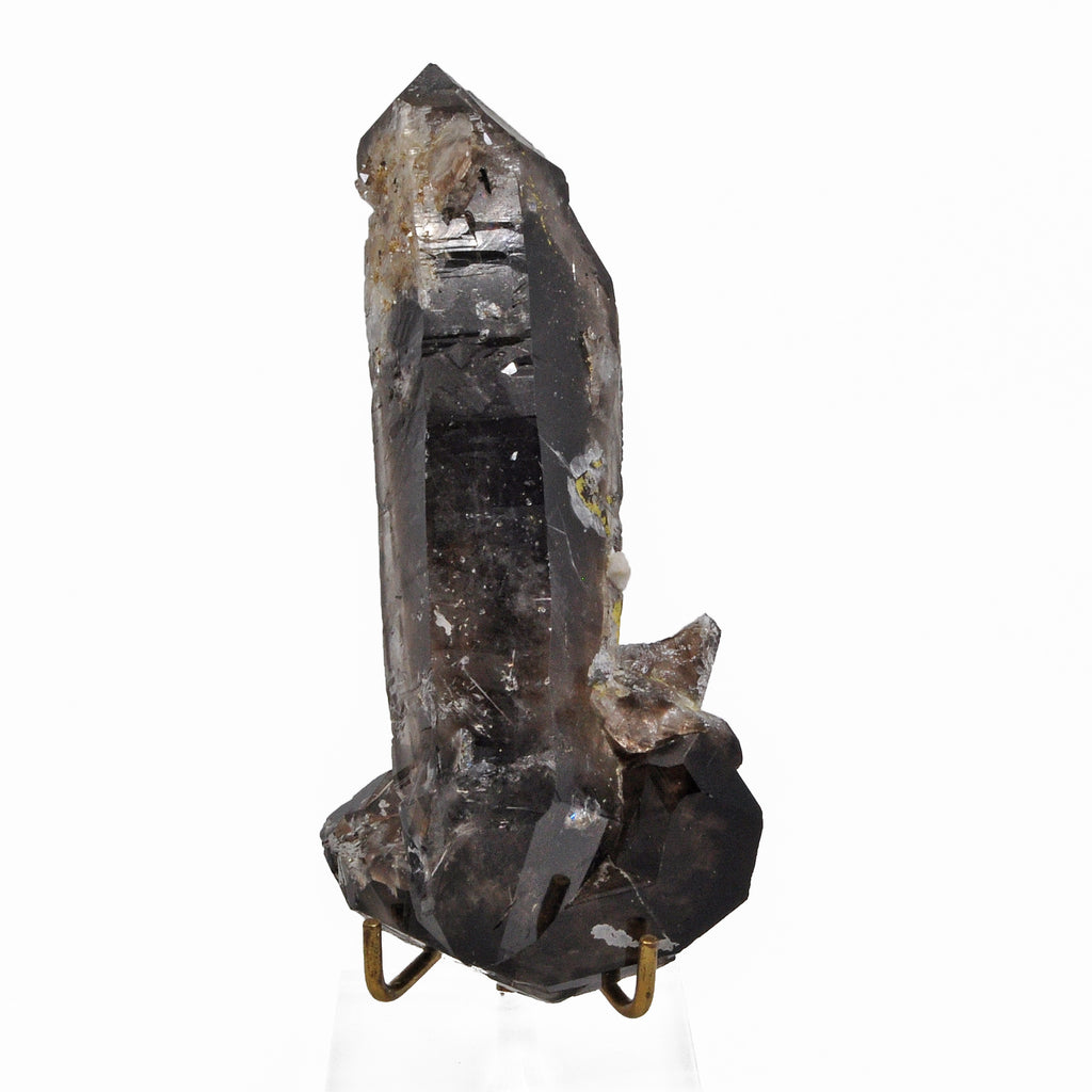 Smoky Quartz 6.75 inch 1.15 lbs Fully Terminated Natural Crystal - Brazil - FFX-579 - Crystalarium