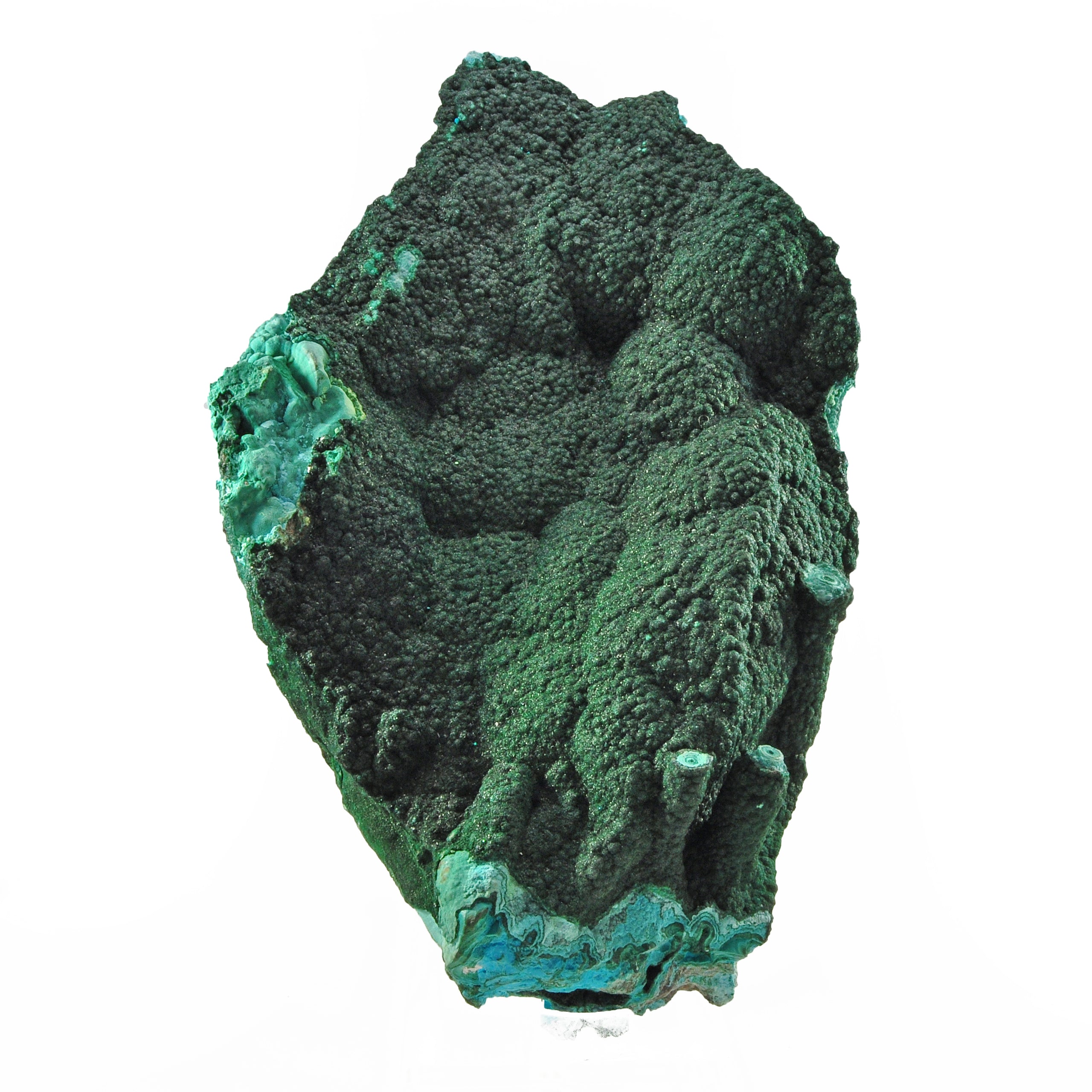 Malachite with Chrysocolla 14.5 inch 11.8 lbs Natural Crystal Specimen - Congo - FFX-319 - Crystalarium