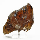 Smoky Citrine 7.0 inch 2.29 lbs Natural Cathedral Crystal - Brazil - EEX-352A - Crystalarium