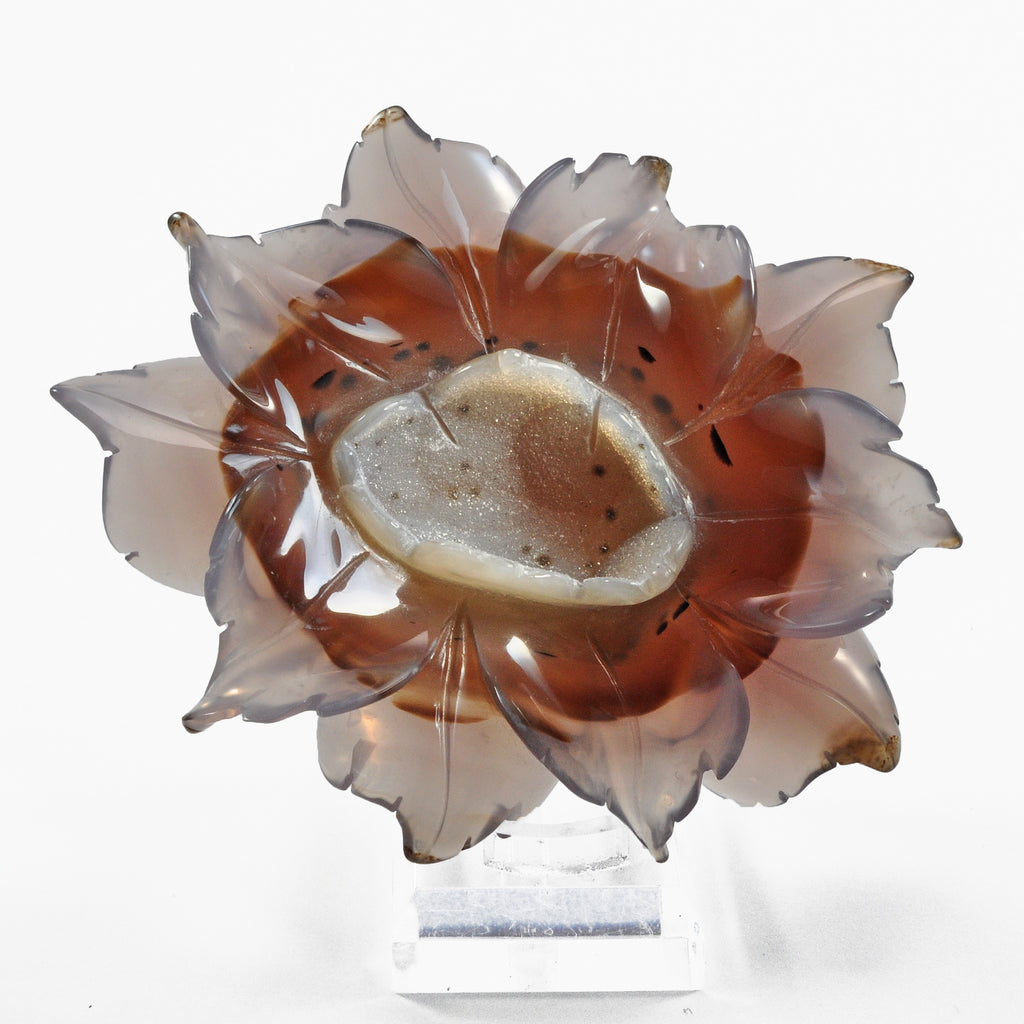 Druzy Agate Carved 130.2 gram Crystal Flower - China - YF-009 - Crystalarium