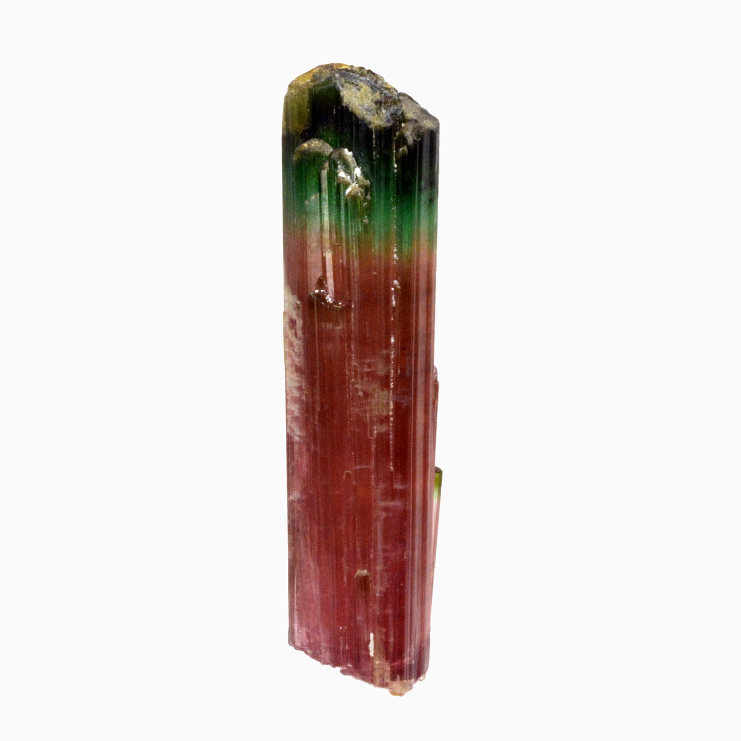 Bi-color Pink and Green Tourmaline 2.91 inch 44 gram Natural Gem Crystal - Pakistan - EEX-226 - Crystalarium