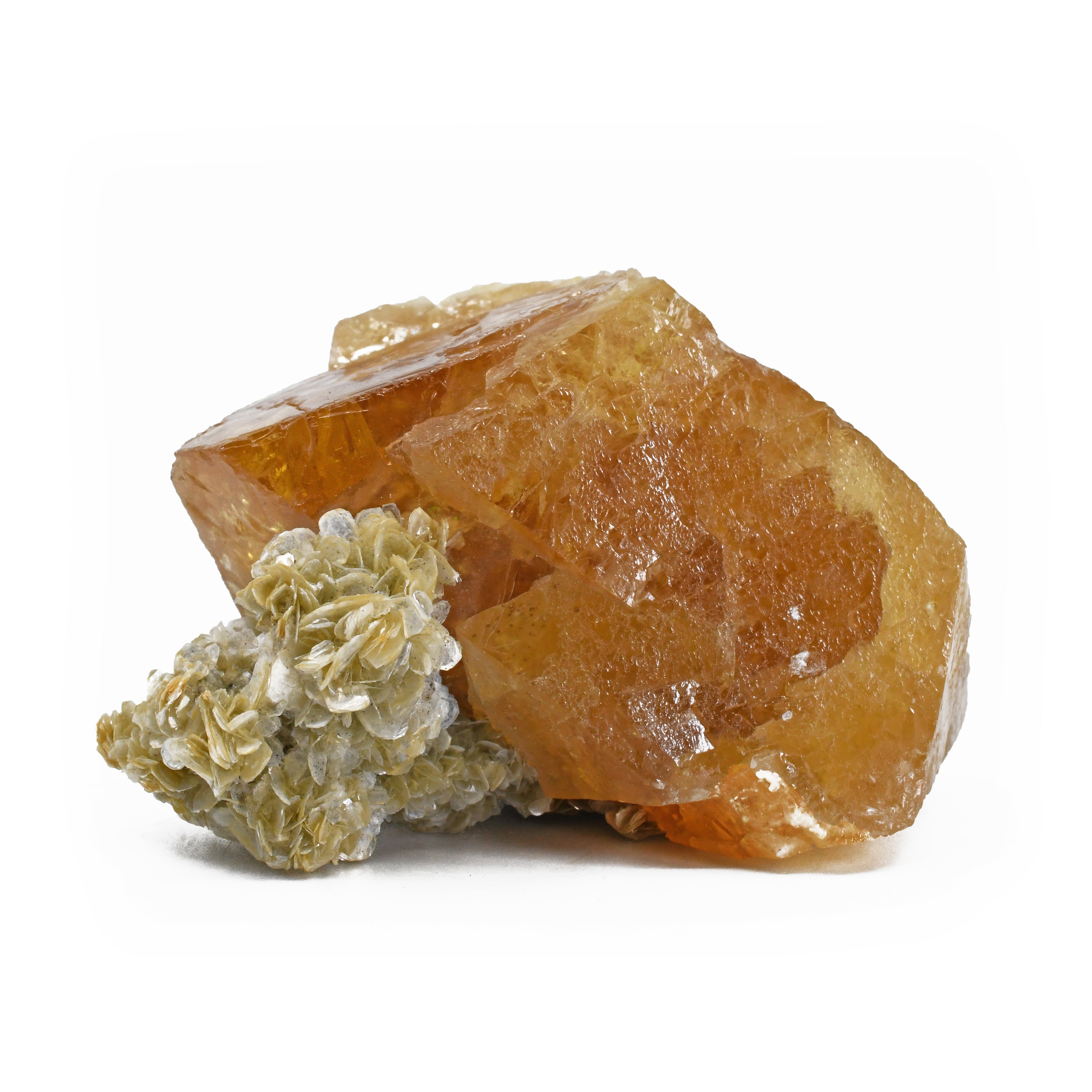 Sheelite with Muscovite Natural Crystal Specimen - China - ZX-393 - Crystalarium