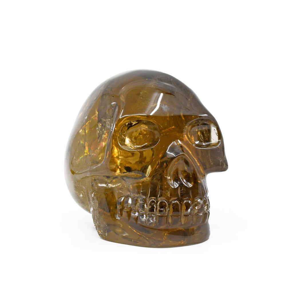 Citrine 5.51 inch 5.6 lbs Carved Crystal Skull - GGF-012 - Crystalarium