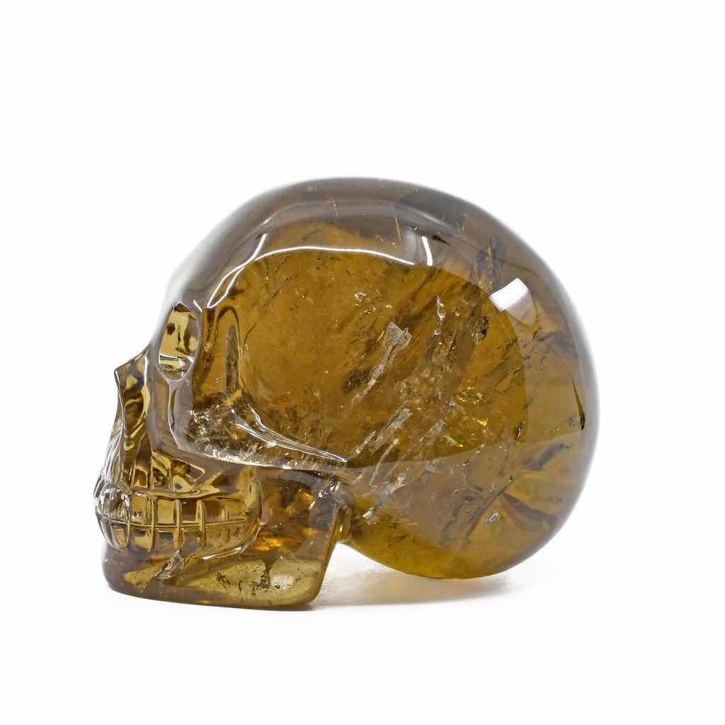 Citrine 5.51 inch 5.6 lbs Carved Crystal Skull - GGF-012 - Crystalarium