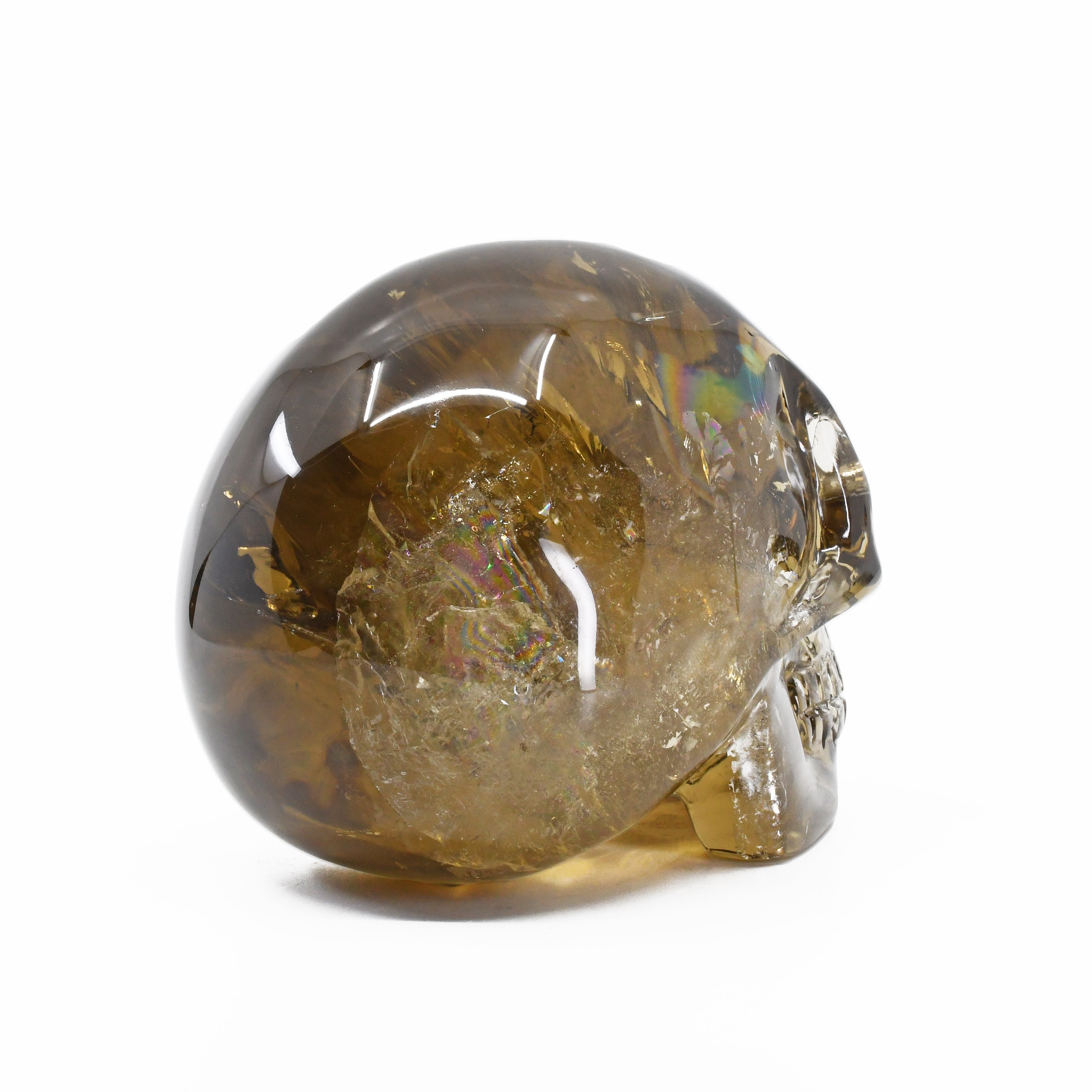Citrine 5.51 inch 5.6 lbs Carved Crystal Skull - GGF-012 - Crystalarium