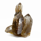 Star Rutilated Quartz 2.4 inch .17 lbs Natural Crystal Cluster Specimen - Brazil - ggx-071 - Crystalarium