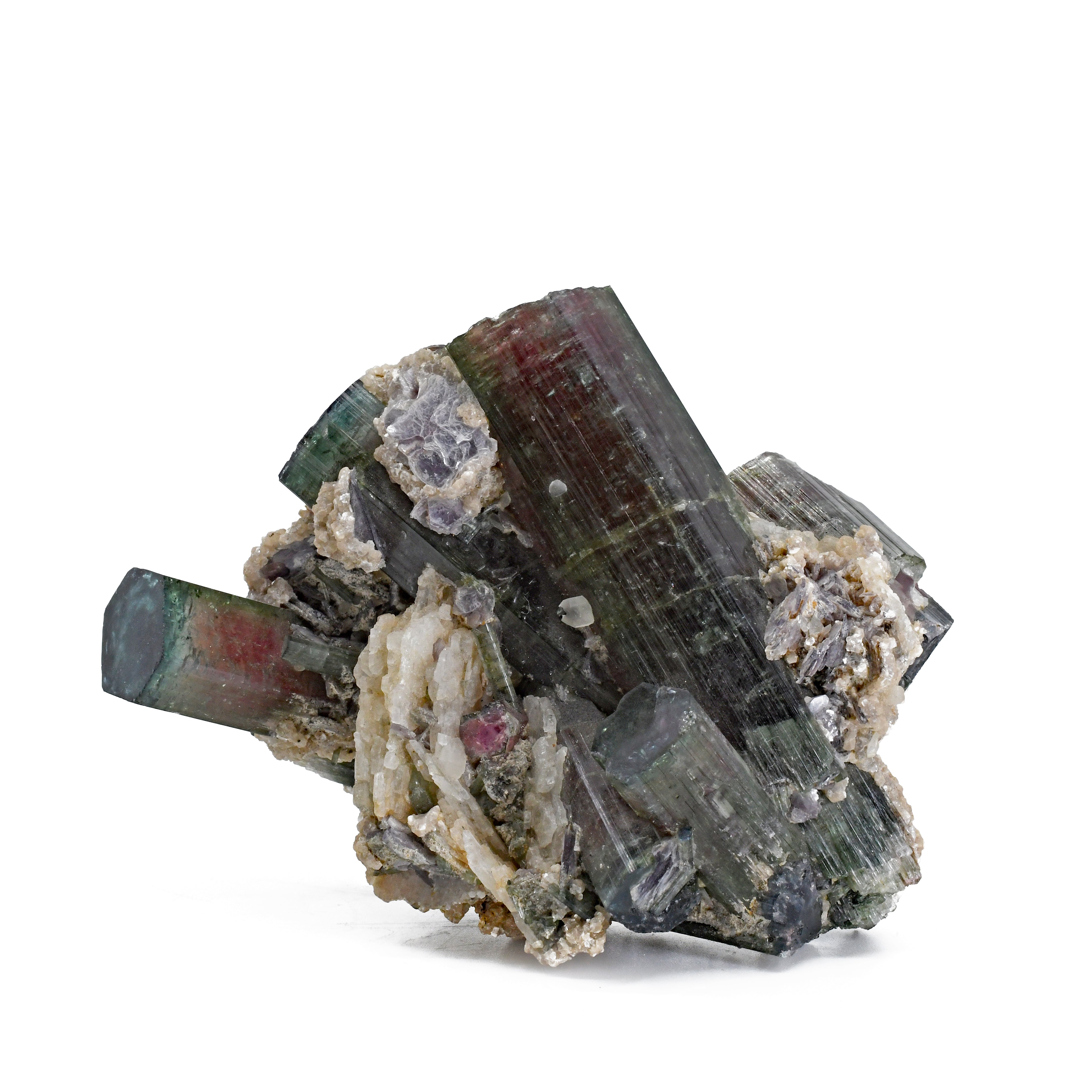 Blue and Pink Watermelon Tourmaline Natural Gem Crystal - AAX-056 - Crystalarium