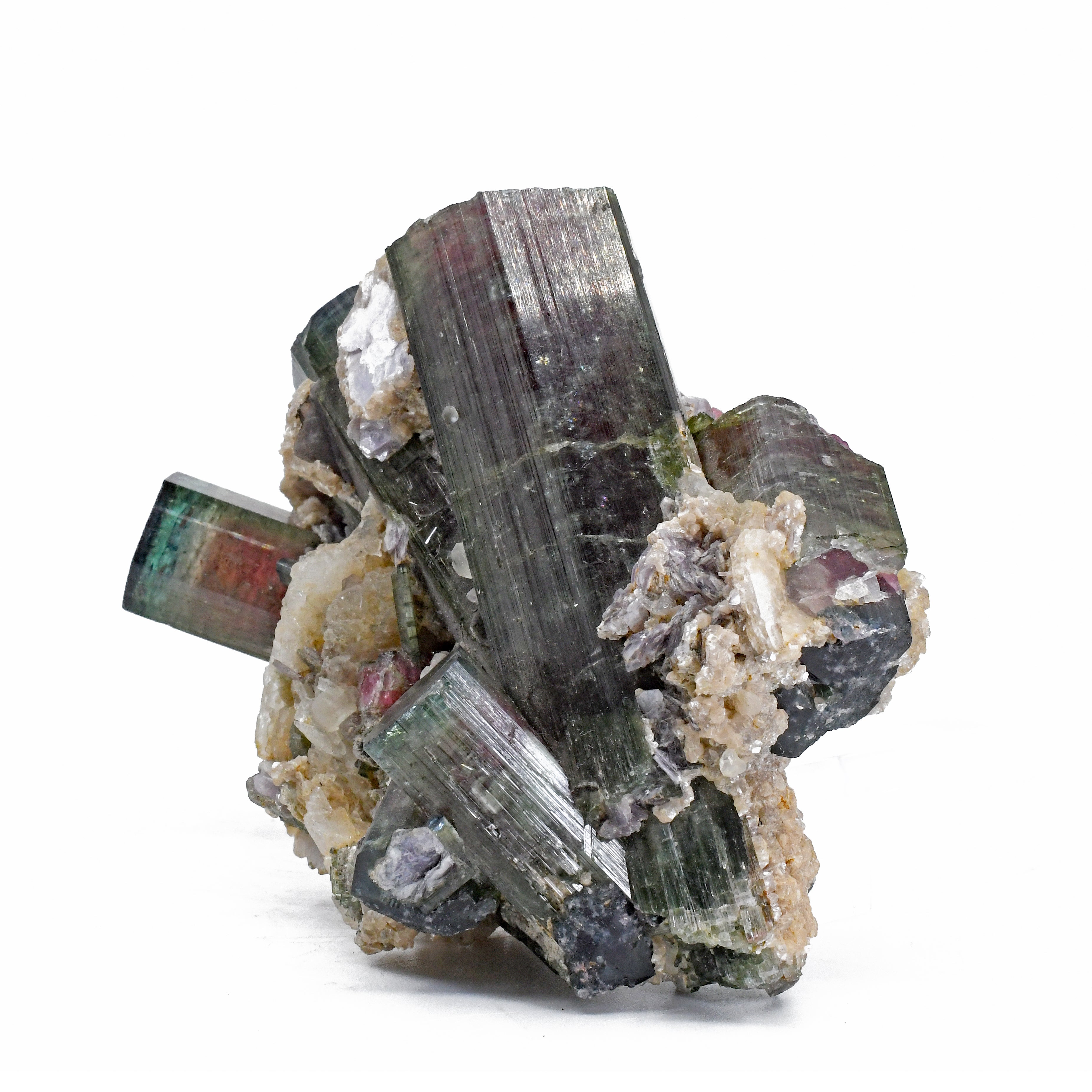 Blue and Pink Watermelon Tourmaline Natural Gem Crystal - AAX-056 - Crystalarium