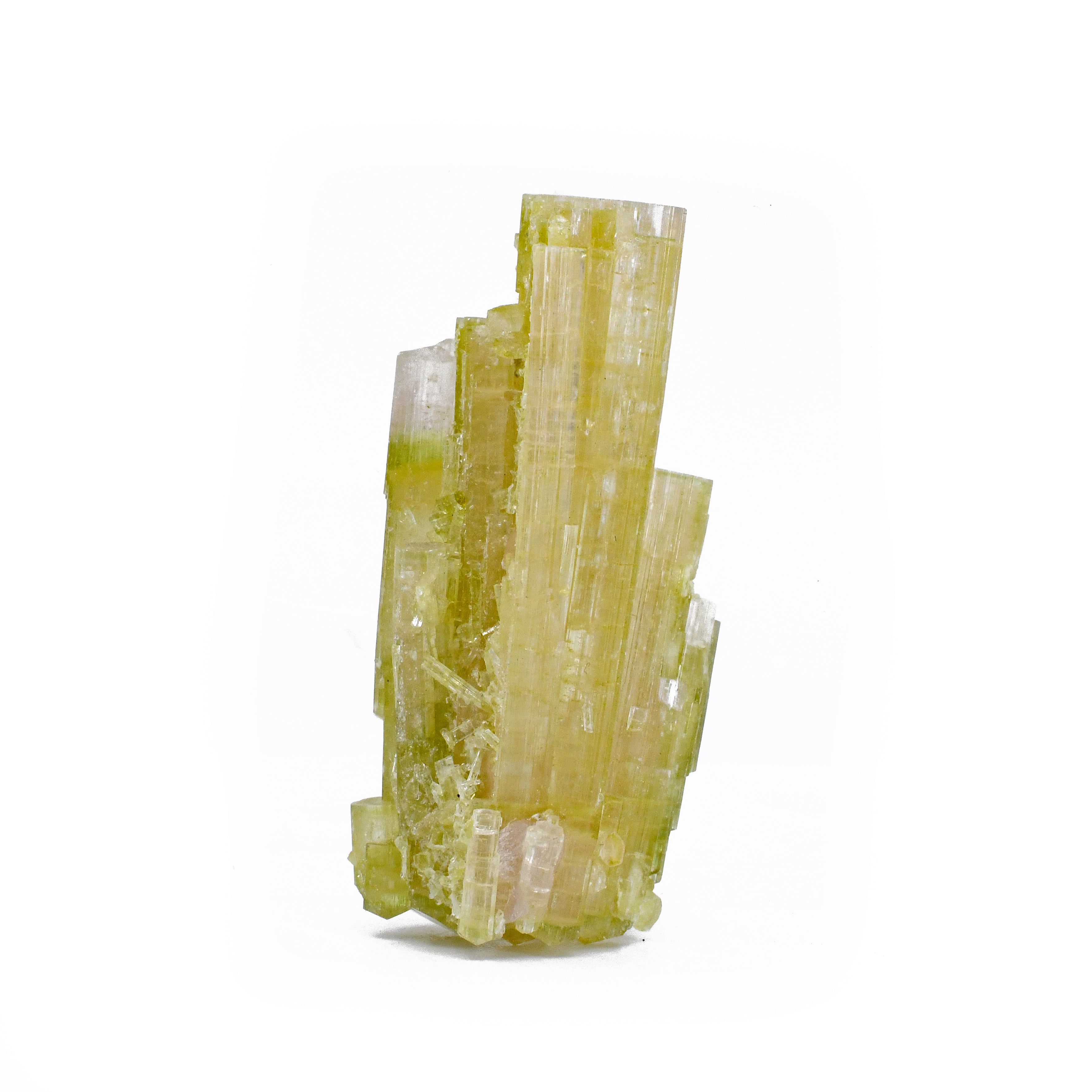 Green and Pink Tourmaline 1.94 inch 77 carat Gem Crystal Spray Specimen - BBX-369 - Crystalarium