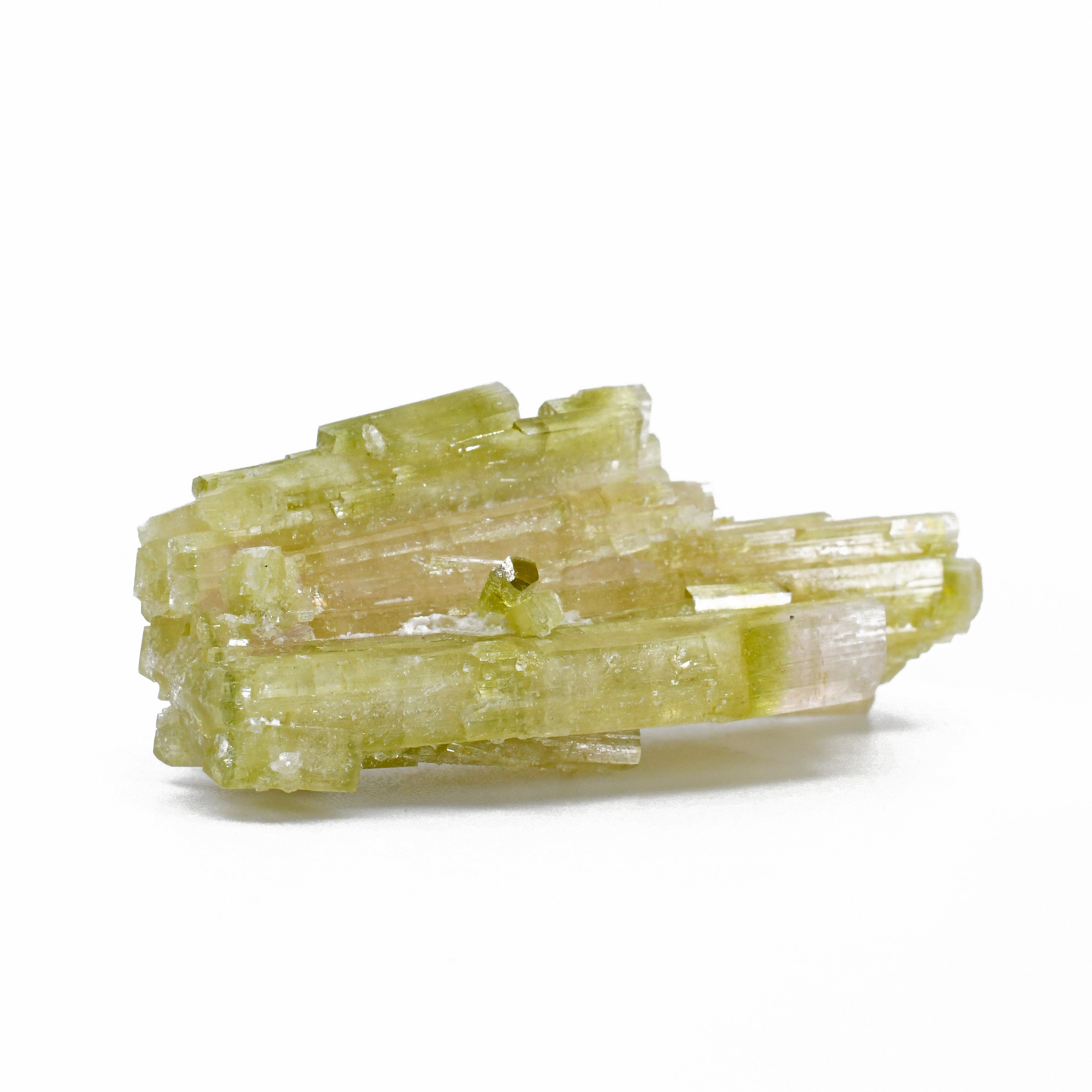 Green and Pink Tourmaline 1.94 inch 77 carat Gem Crystal Spray Specimen - BBX-369 - Crystalarium